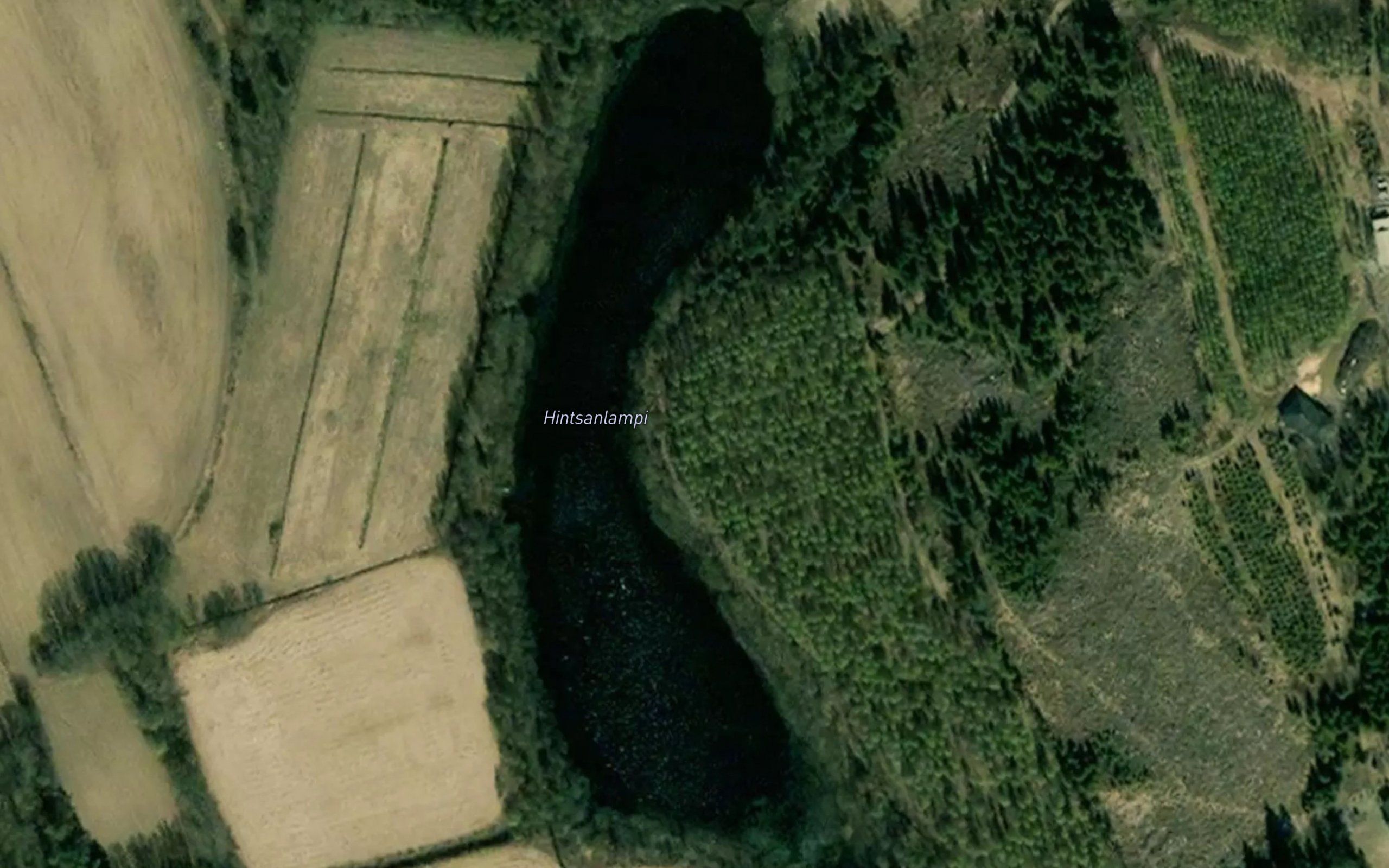 Hintsanlampi