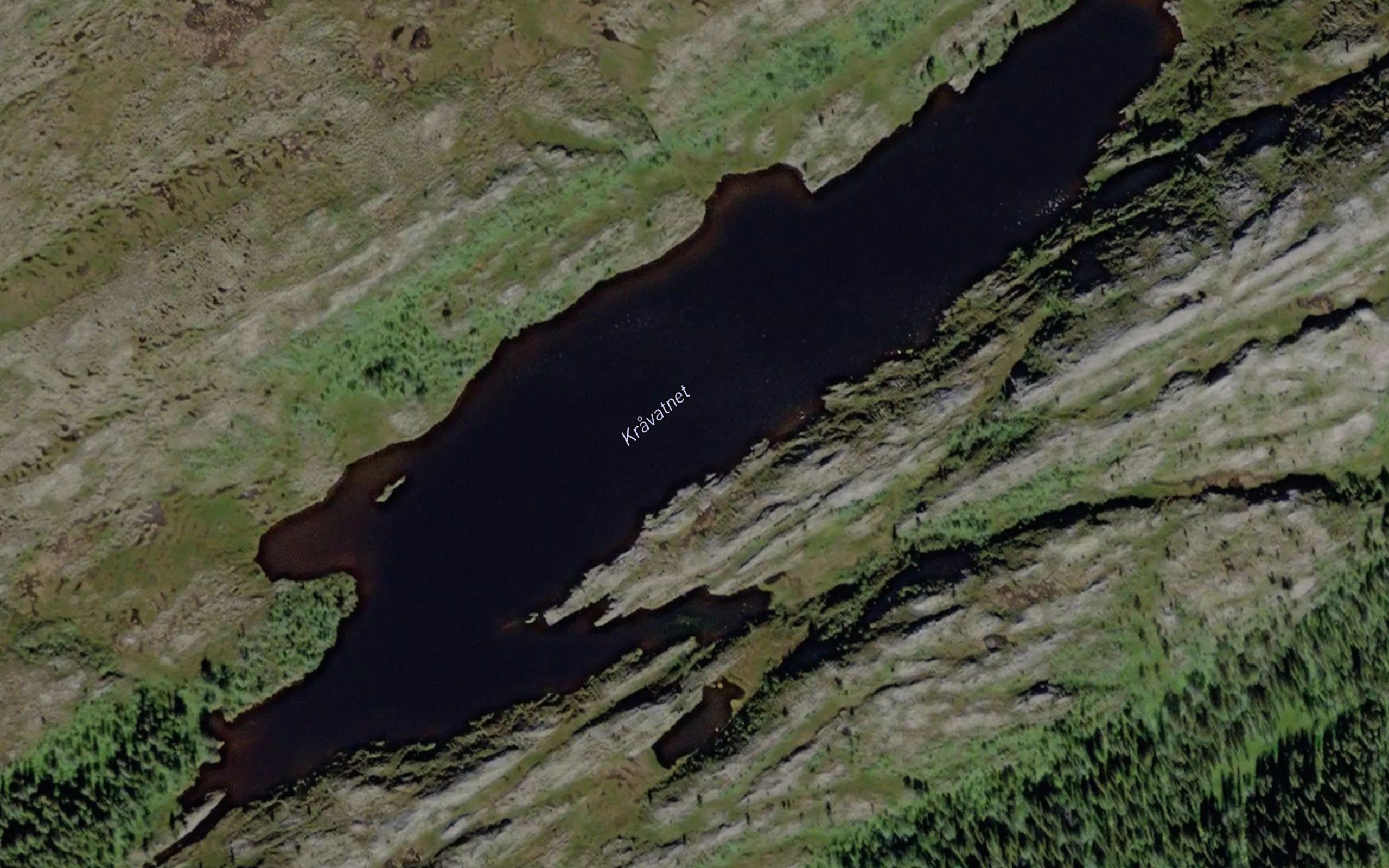 Kravatnet