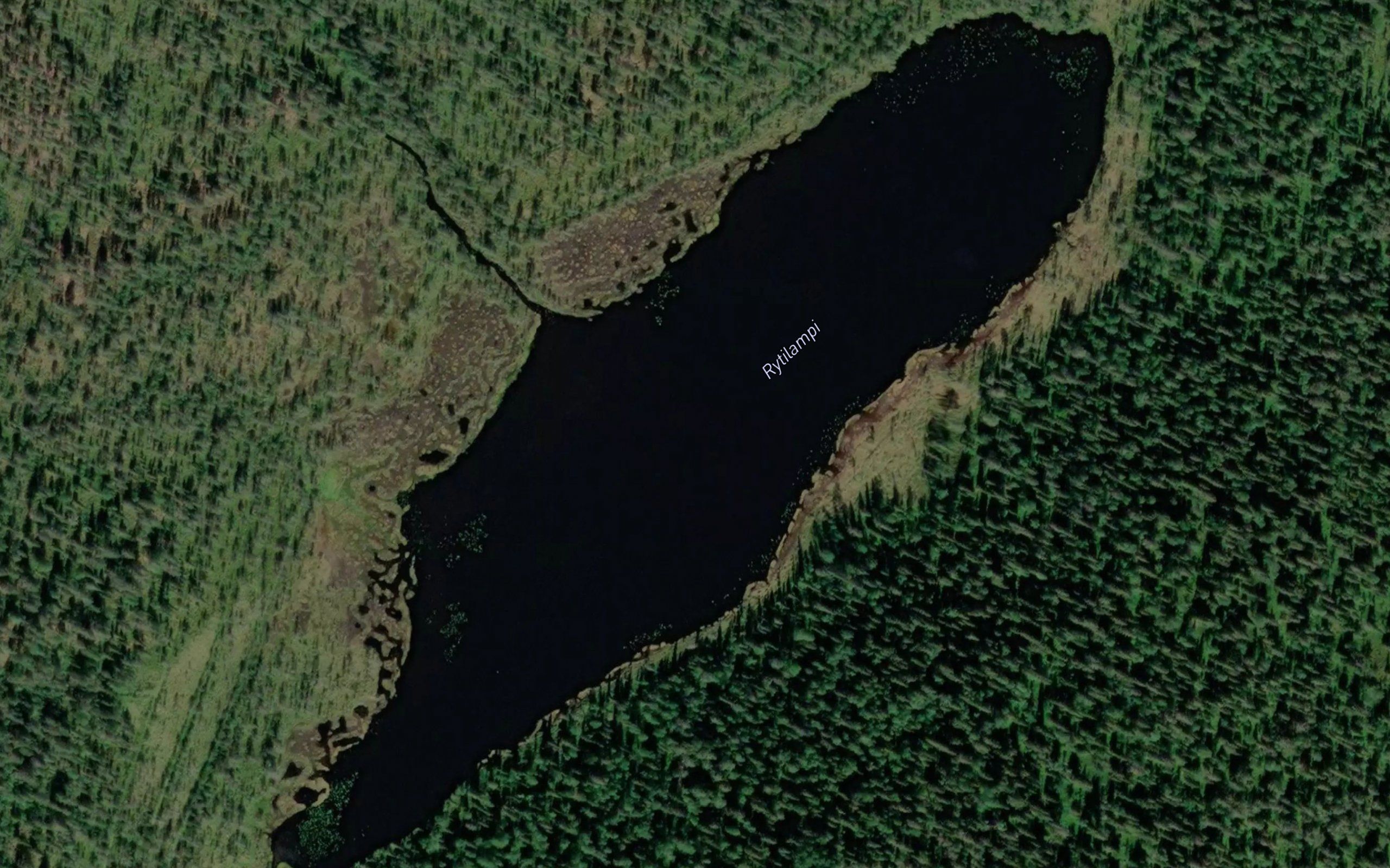 Rytilampi