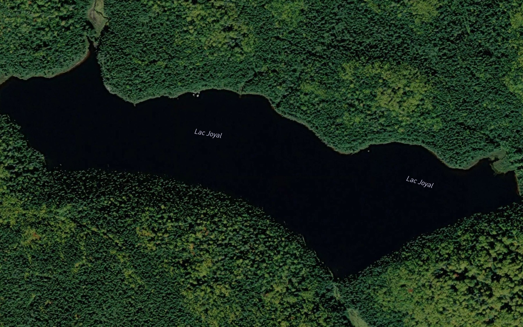 Satellite map of the Lac Joyal
