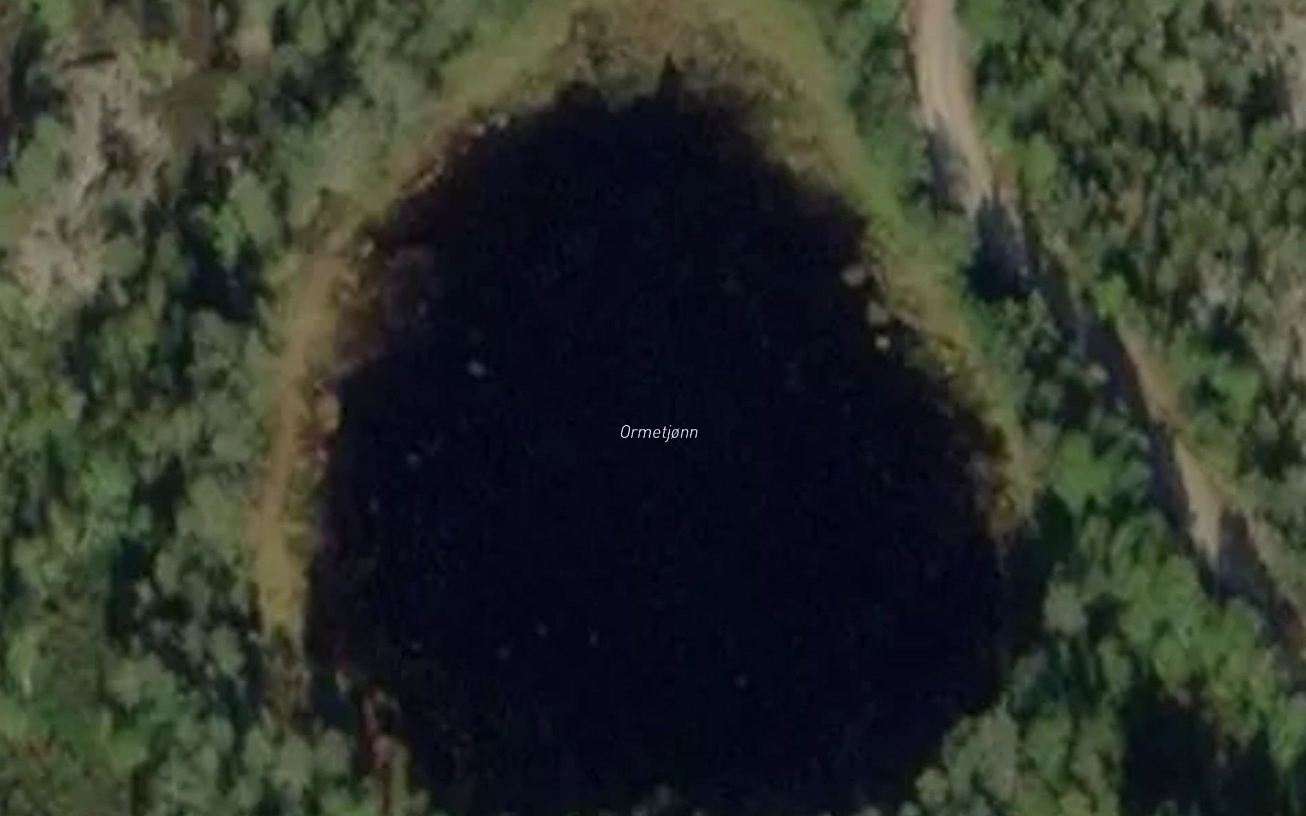 Ormetjorn