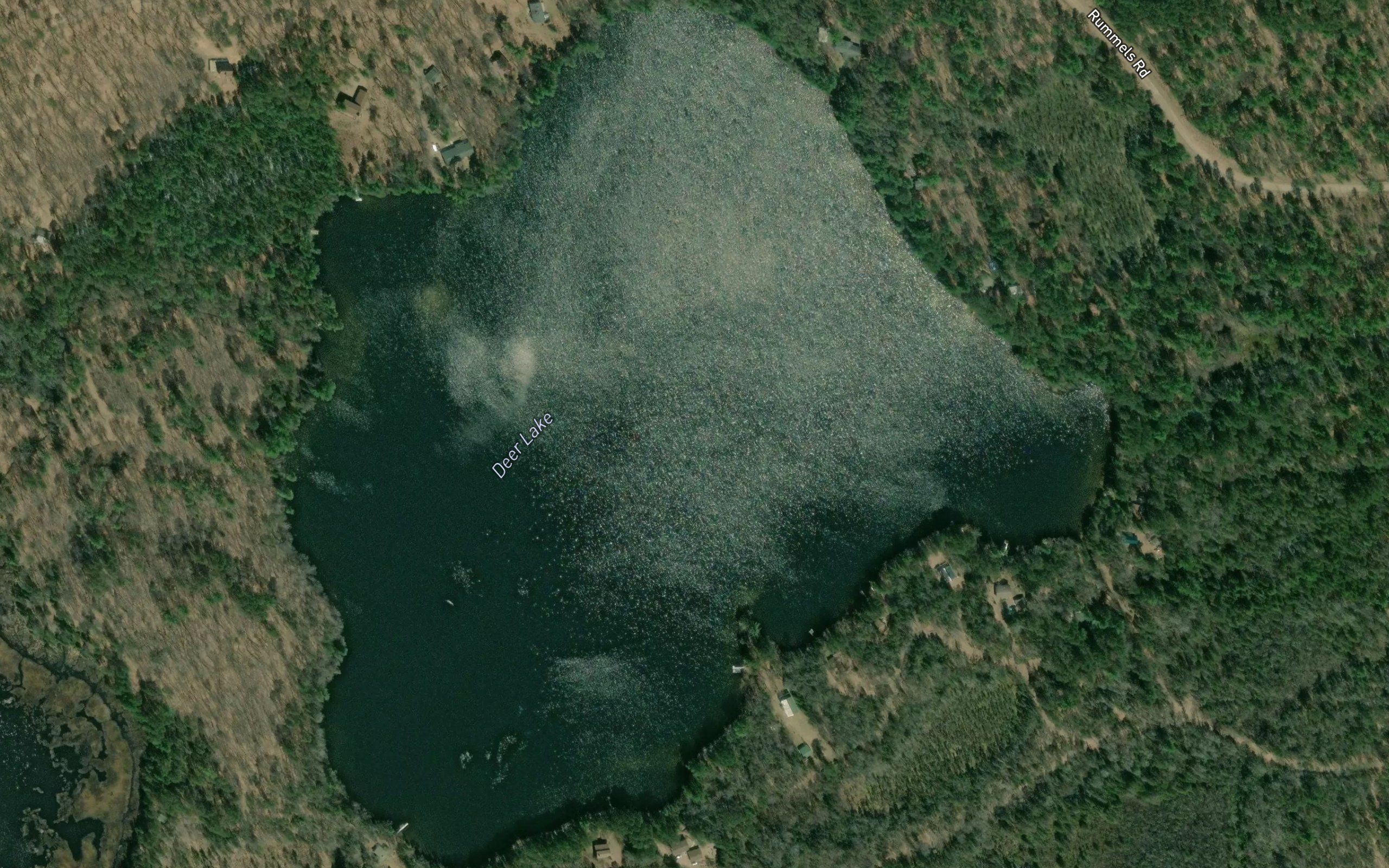 Deer Lake