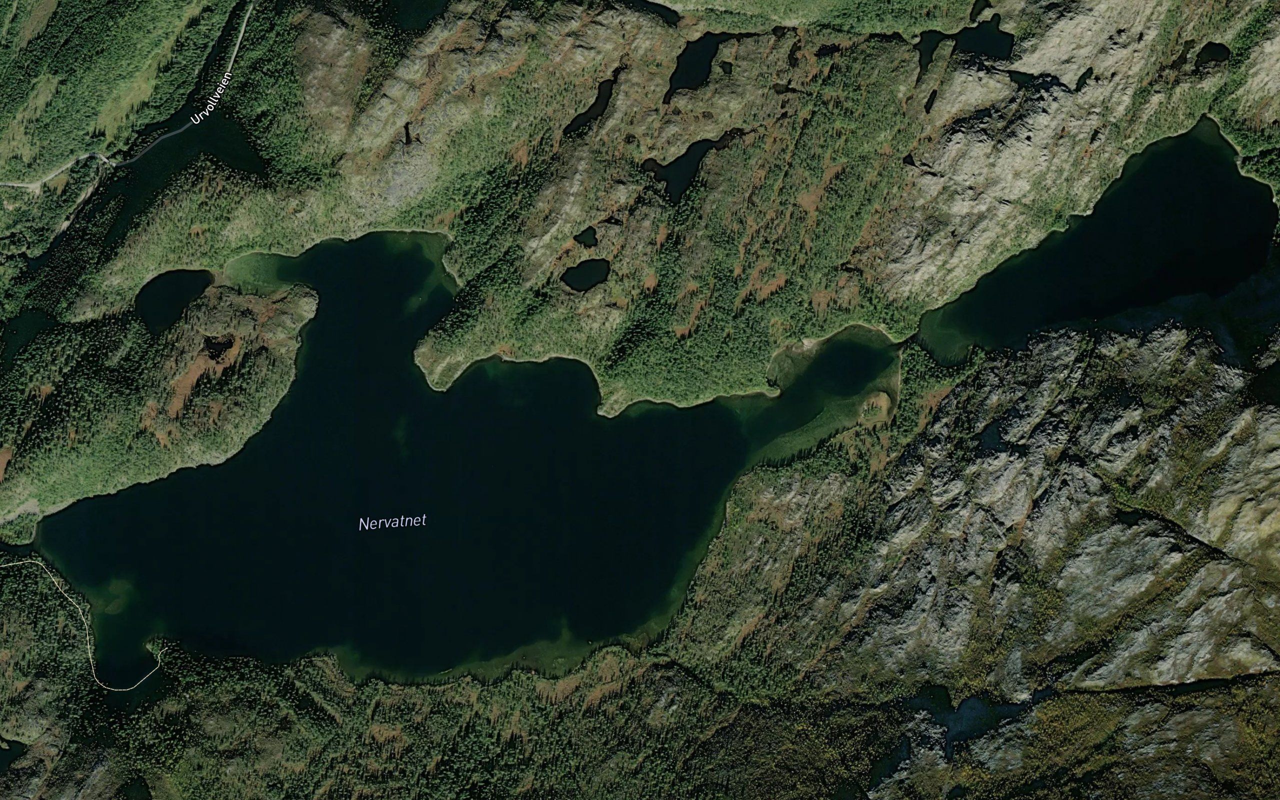 Nervatnet