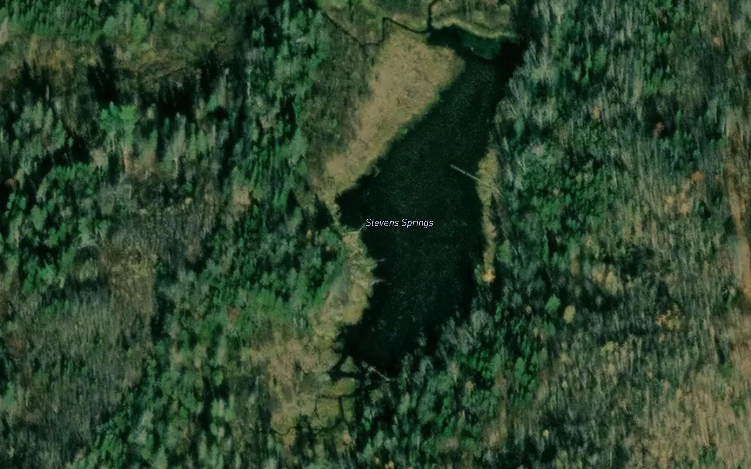 Stevens Springs