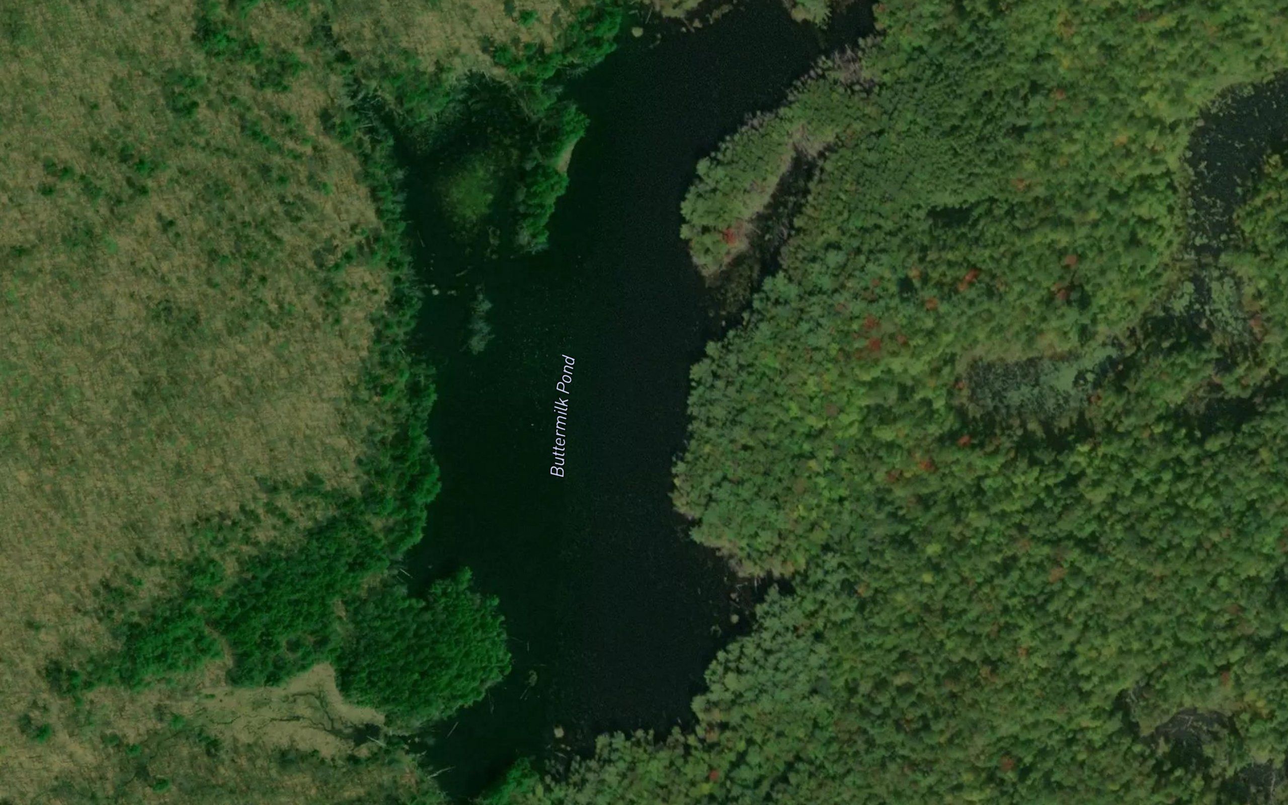 Buttermilk Pond