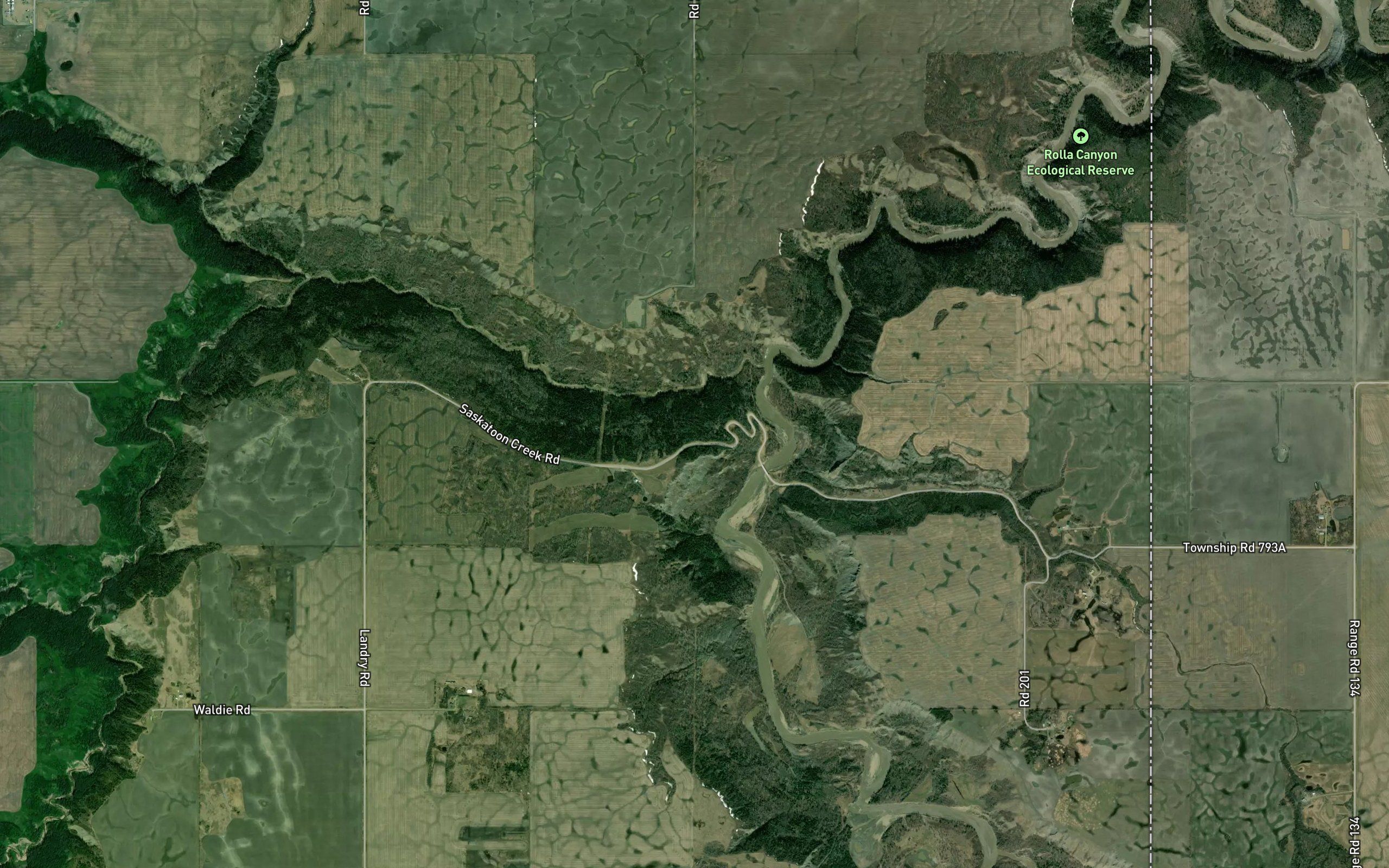 Saskatoon Creek