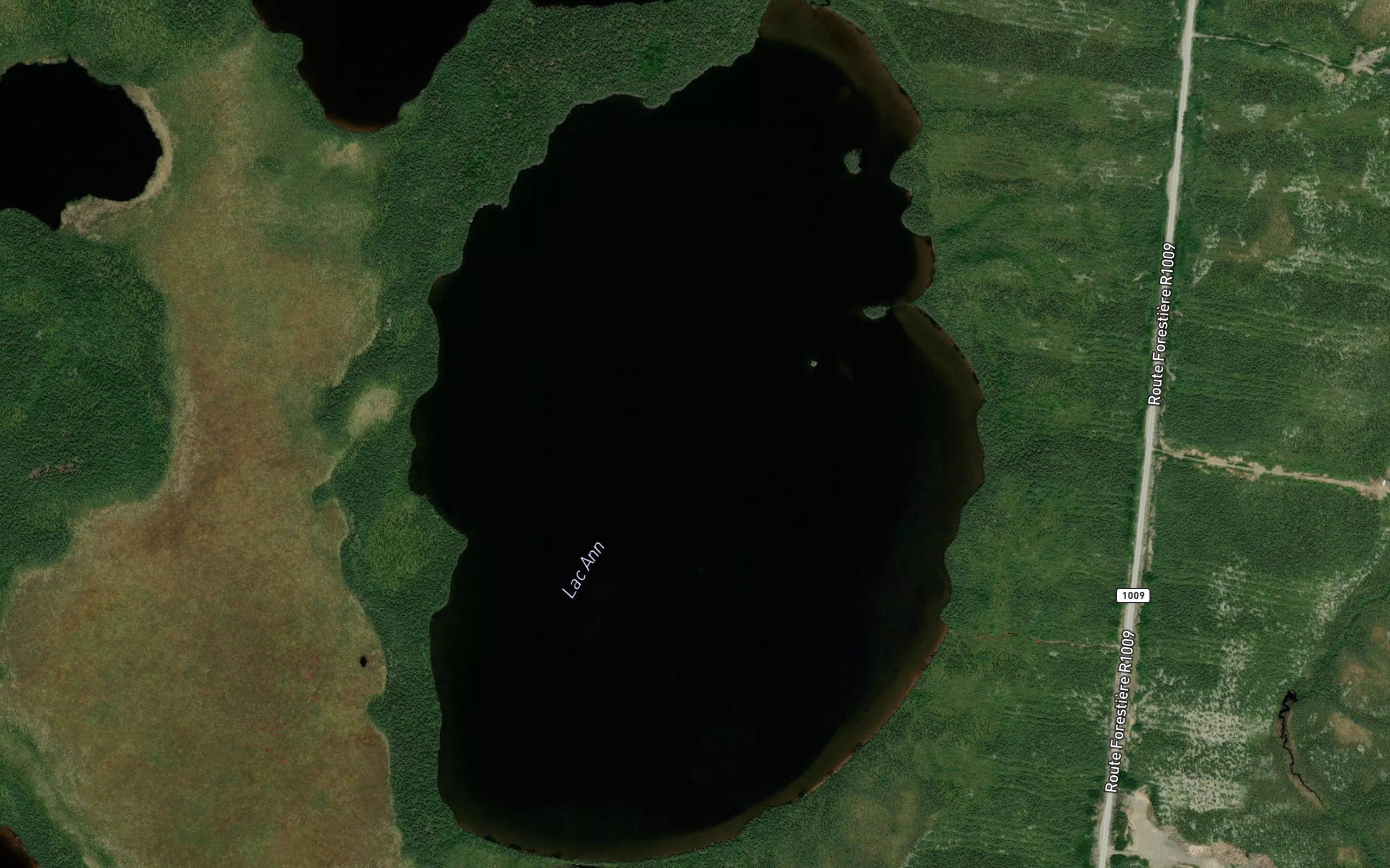 Lac Ann
