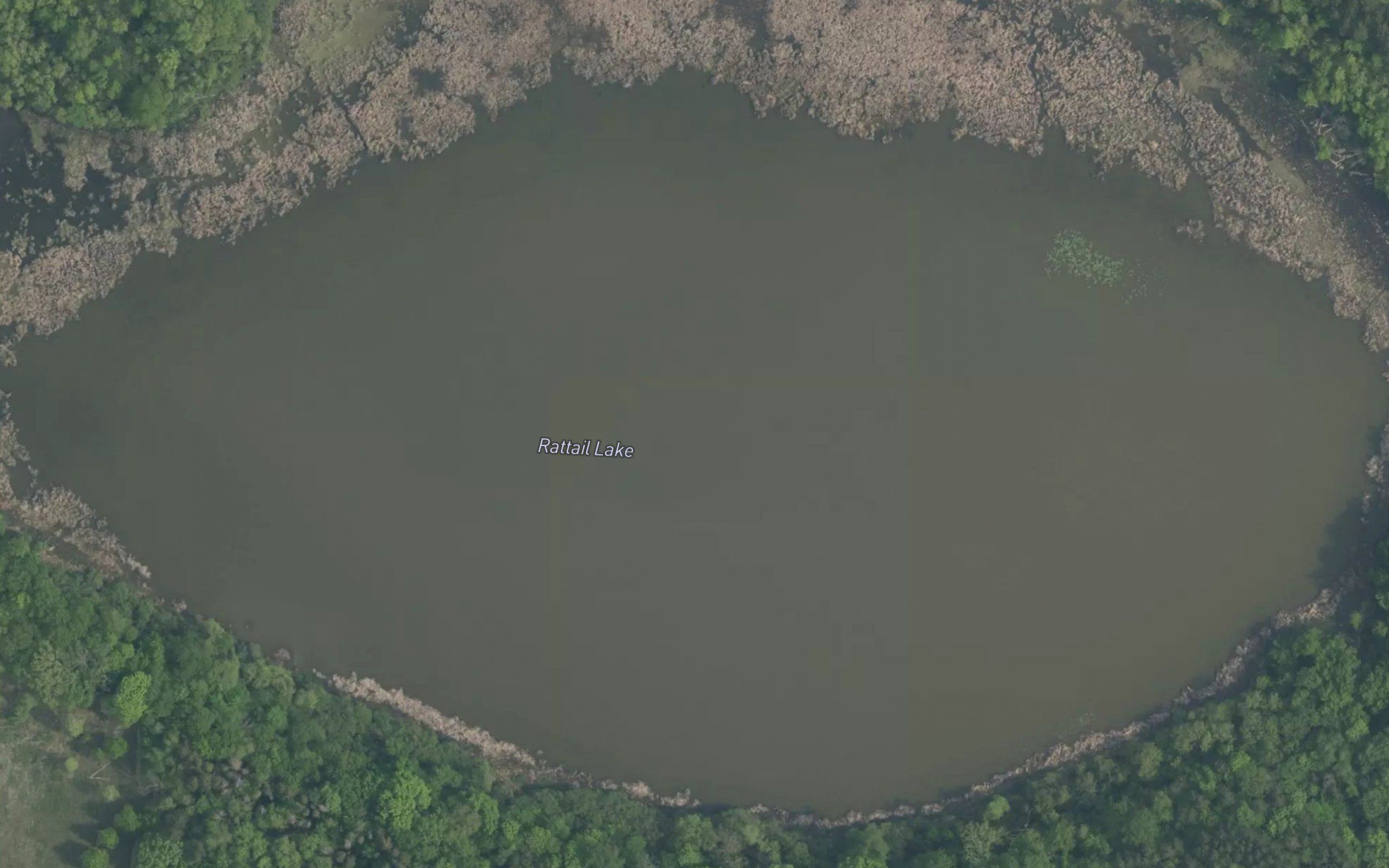 Rattail Lake
