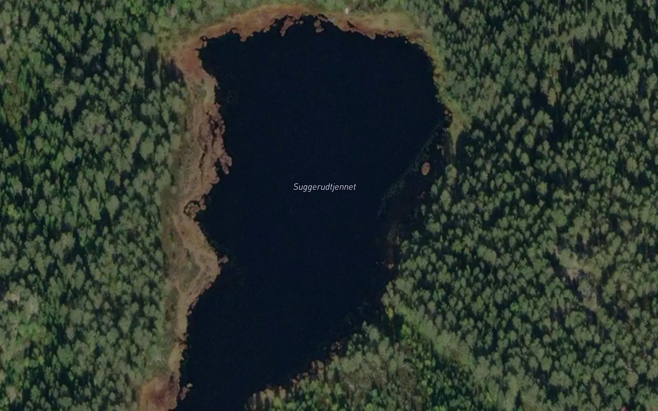 Suggerudtjern
