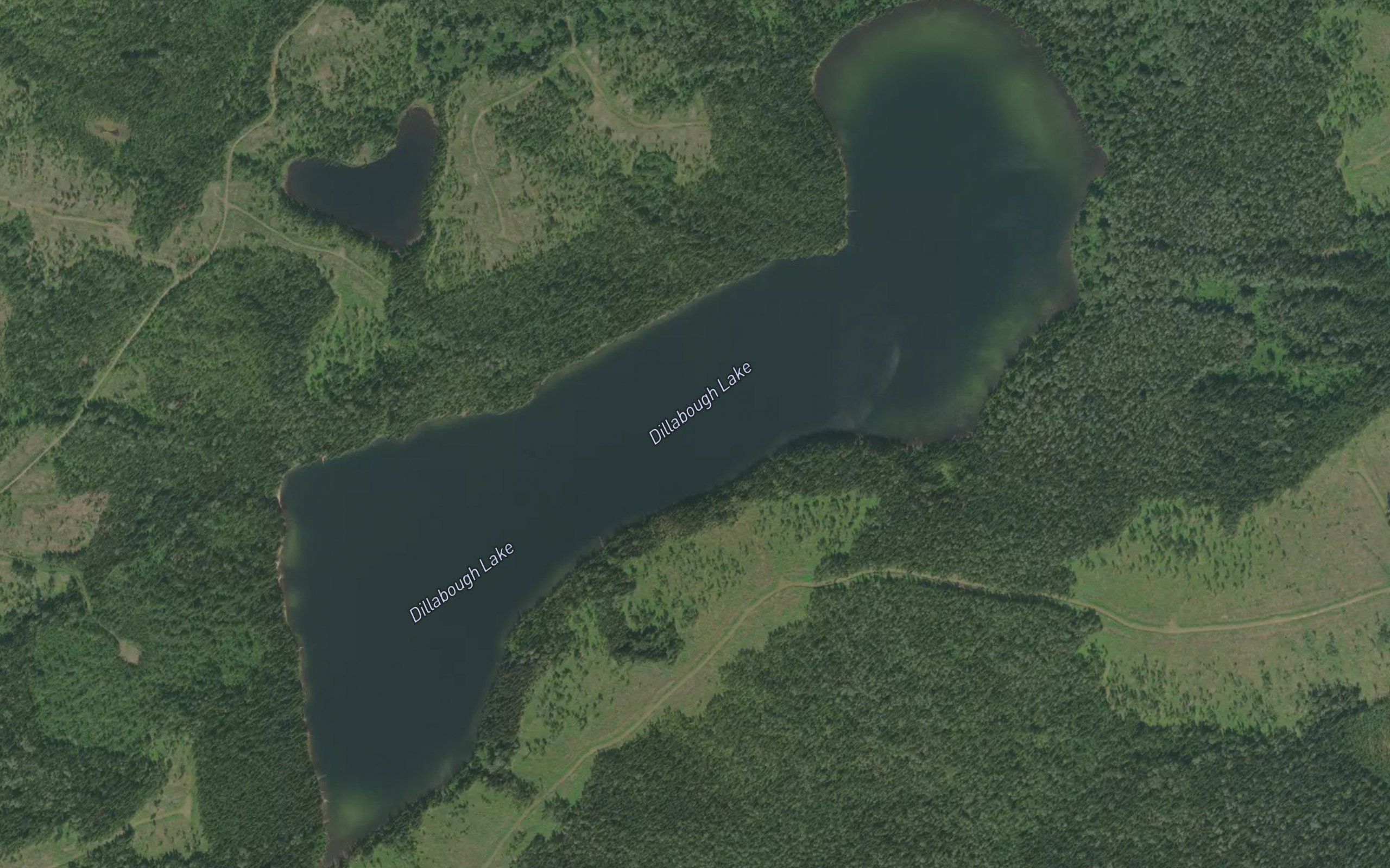 Dillabough Lake
