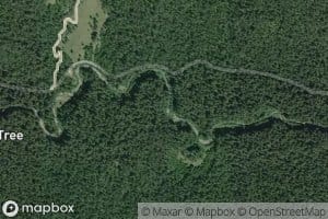 Miller Creek