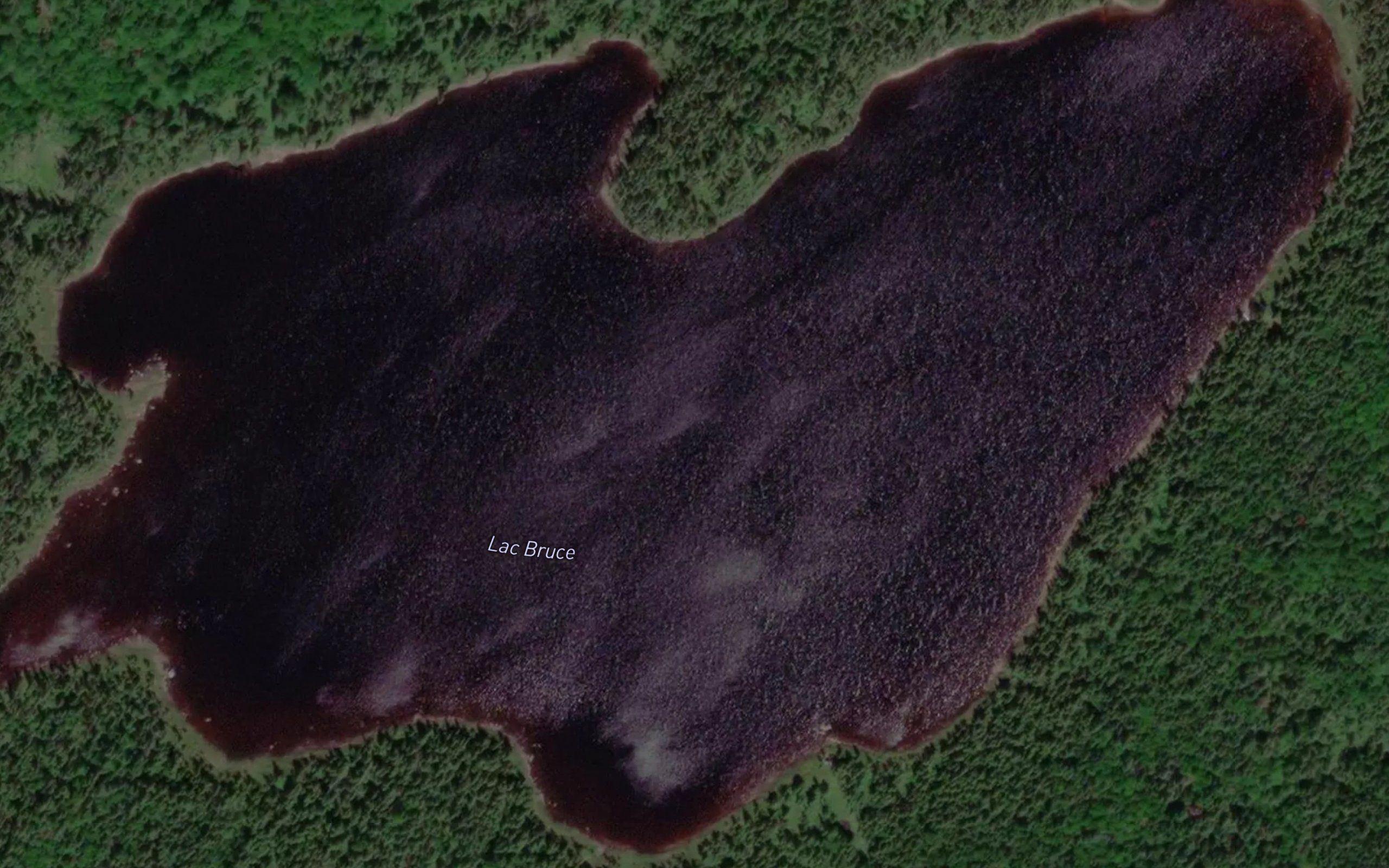 Lac Bruce