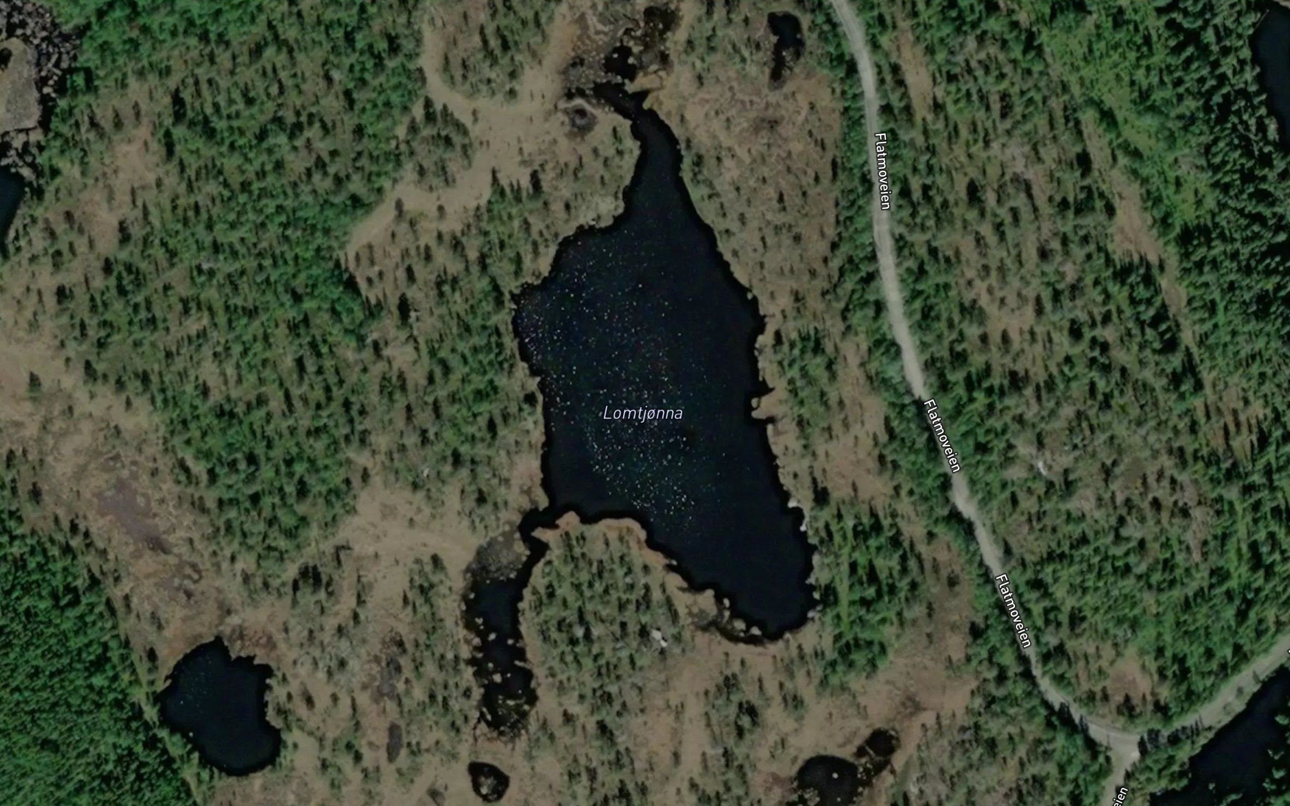 Lomtjonna