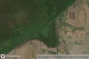 Mansi Fakhakhir Major