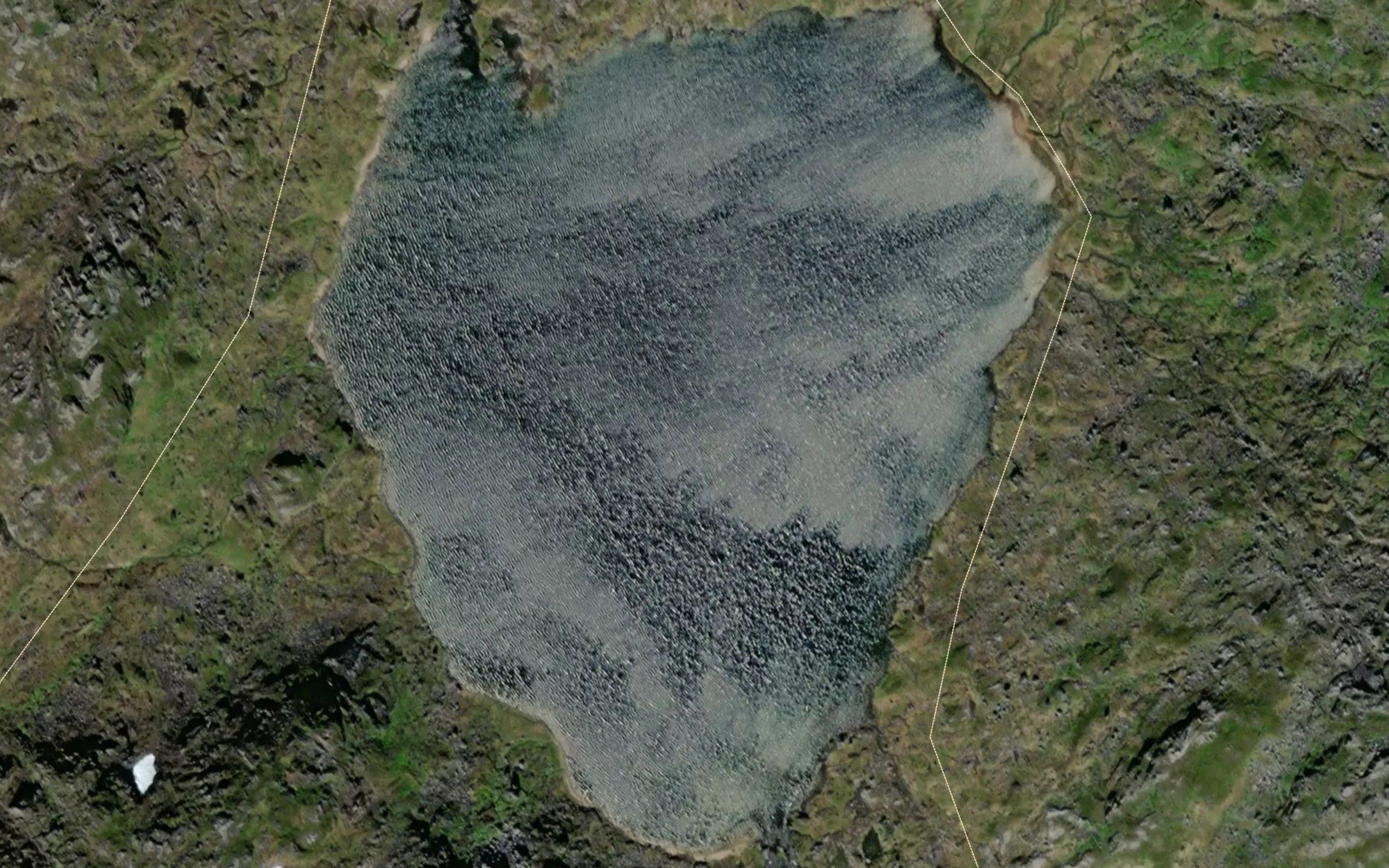 Kvitelvvatnan