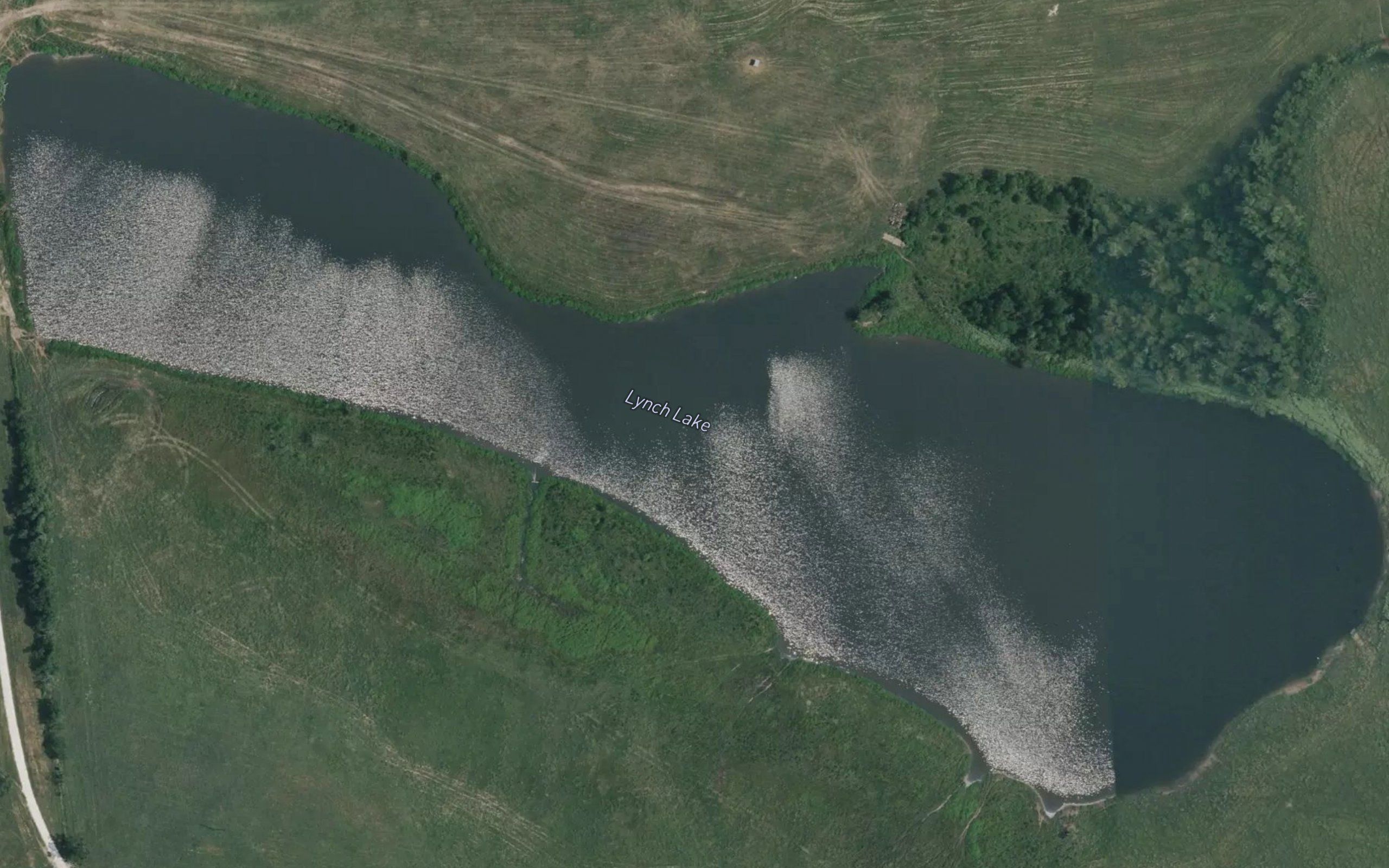 Lynch Lake