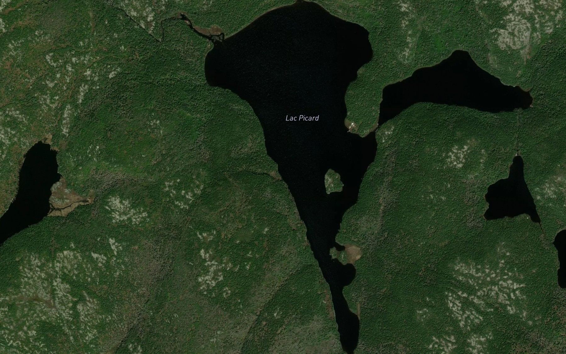 Satellite map of the Lac Picard