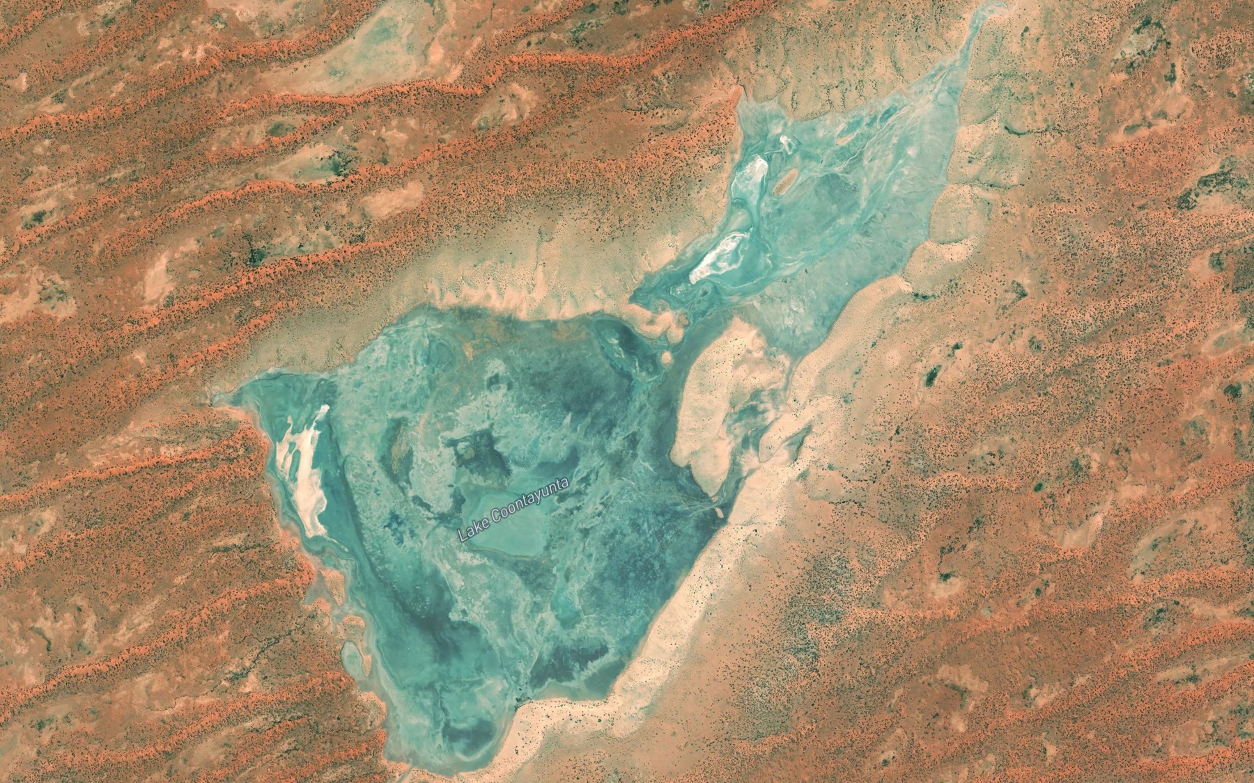 Satellite map of the Lake Coontayunta