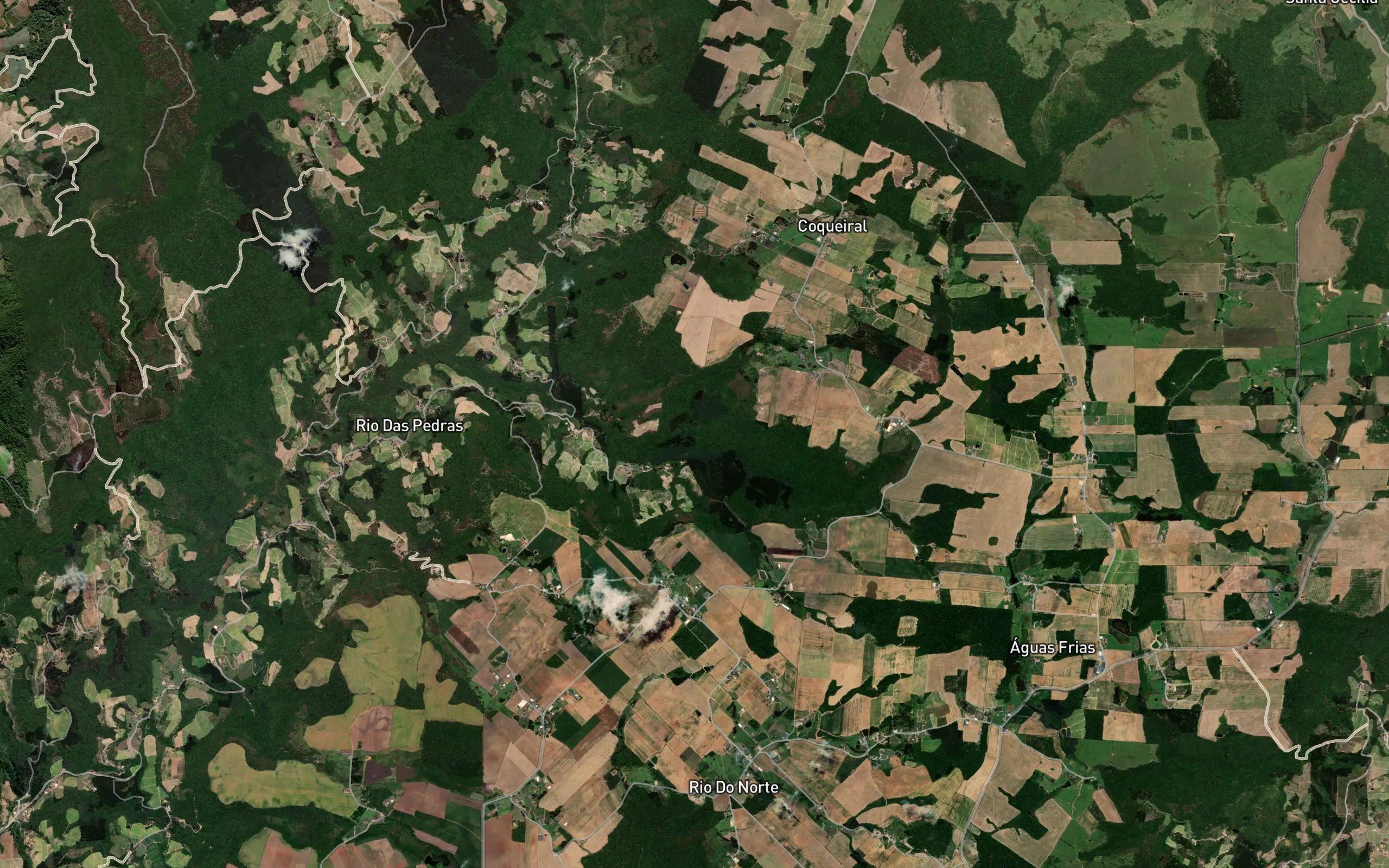 Arroio do Veado
