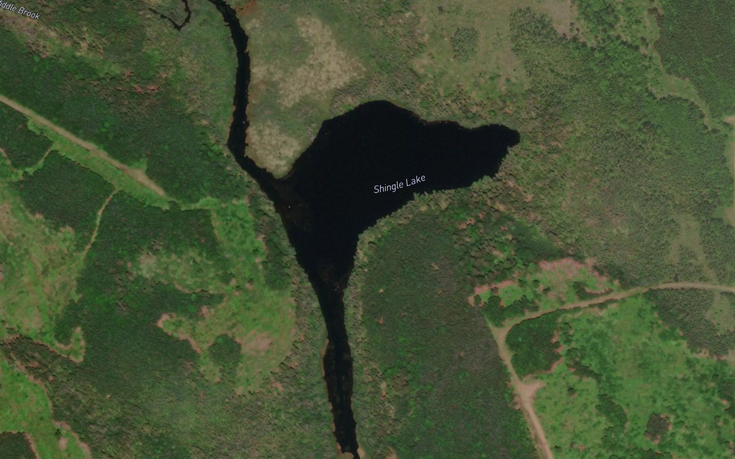 Shingle Lake