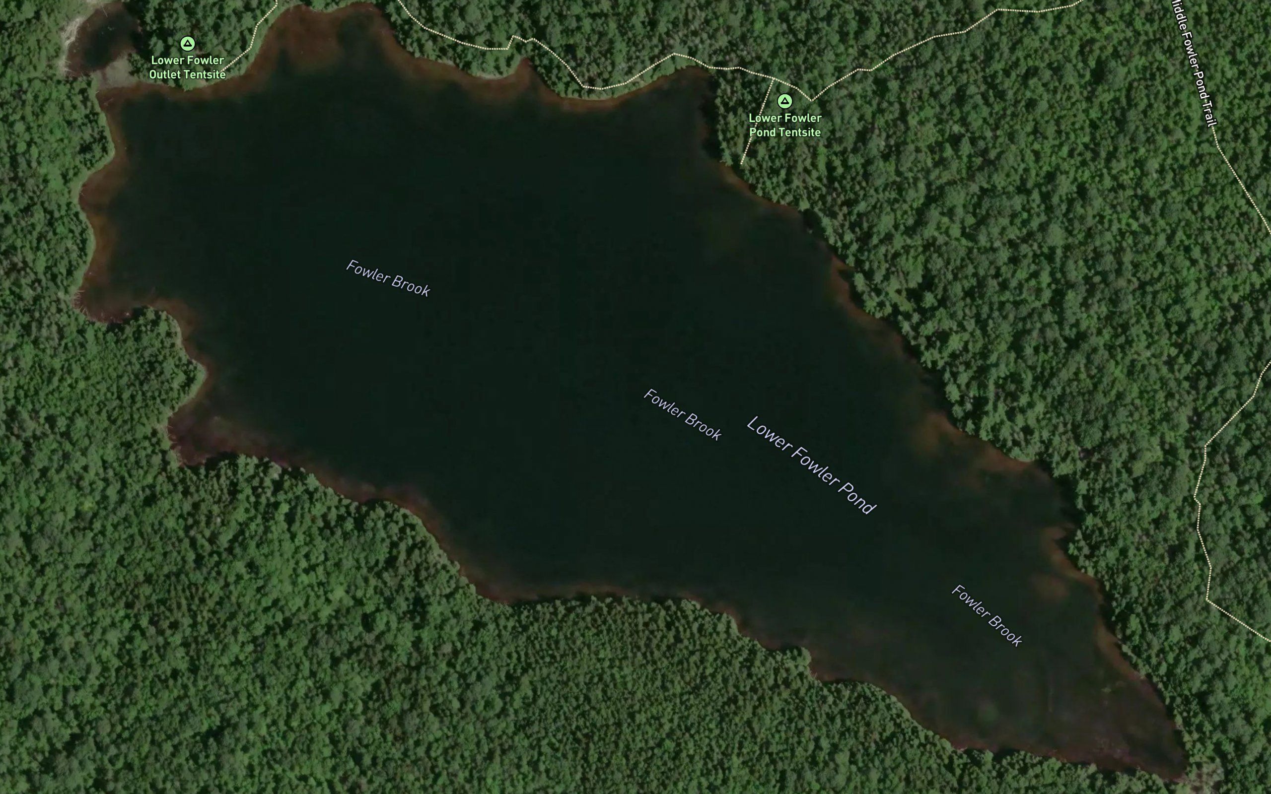 Lower Fowler Pond