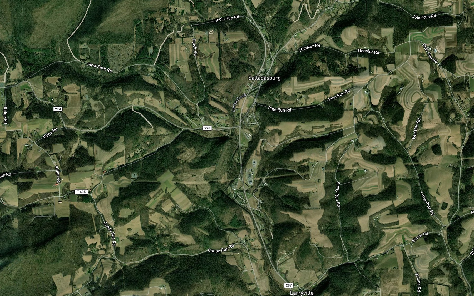 Satellite map of the First Fork Larrys Creek