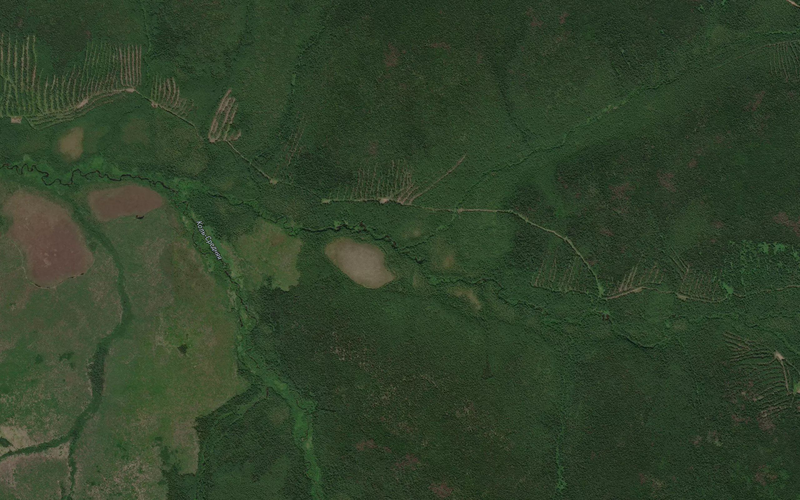 Berezovyy