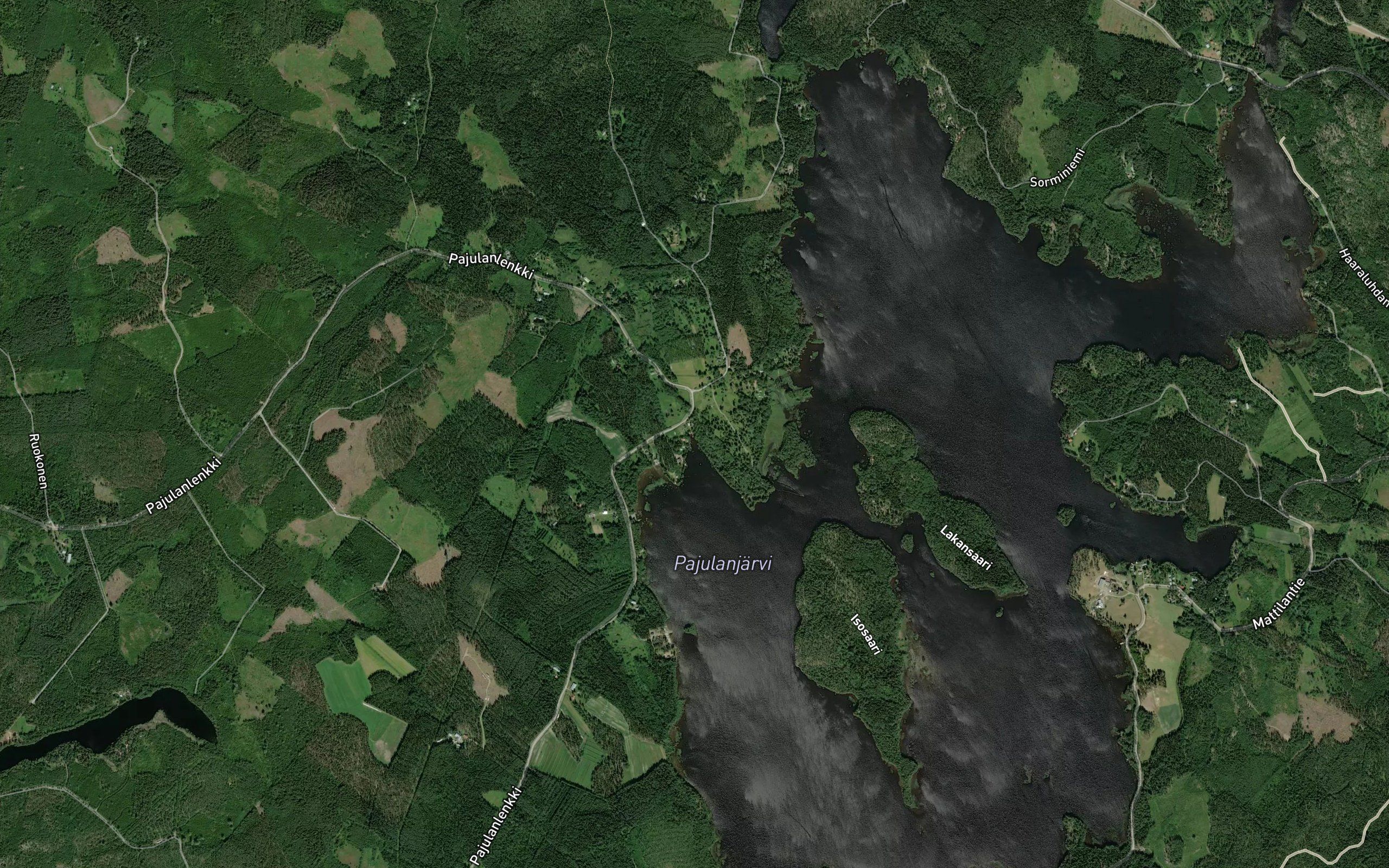 Korvenoja