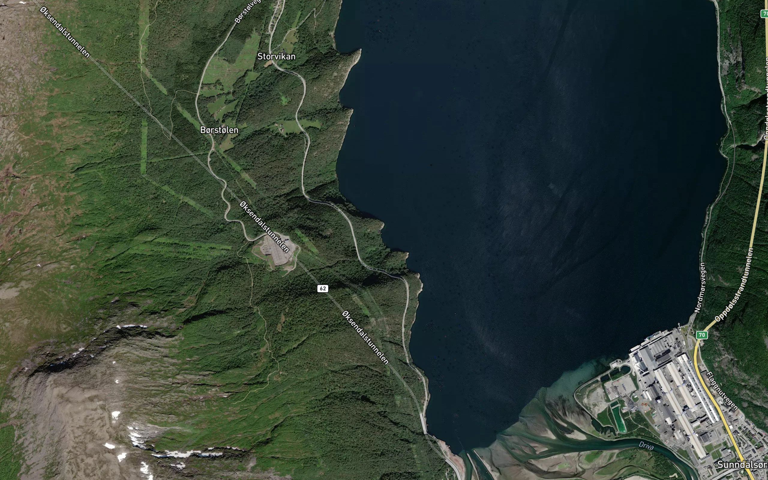 Mannvika