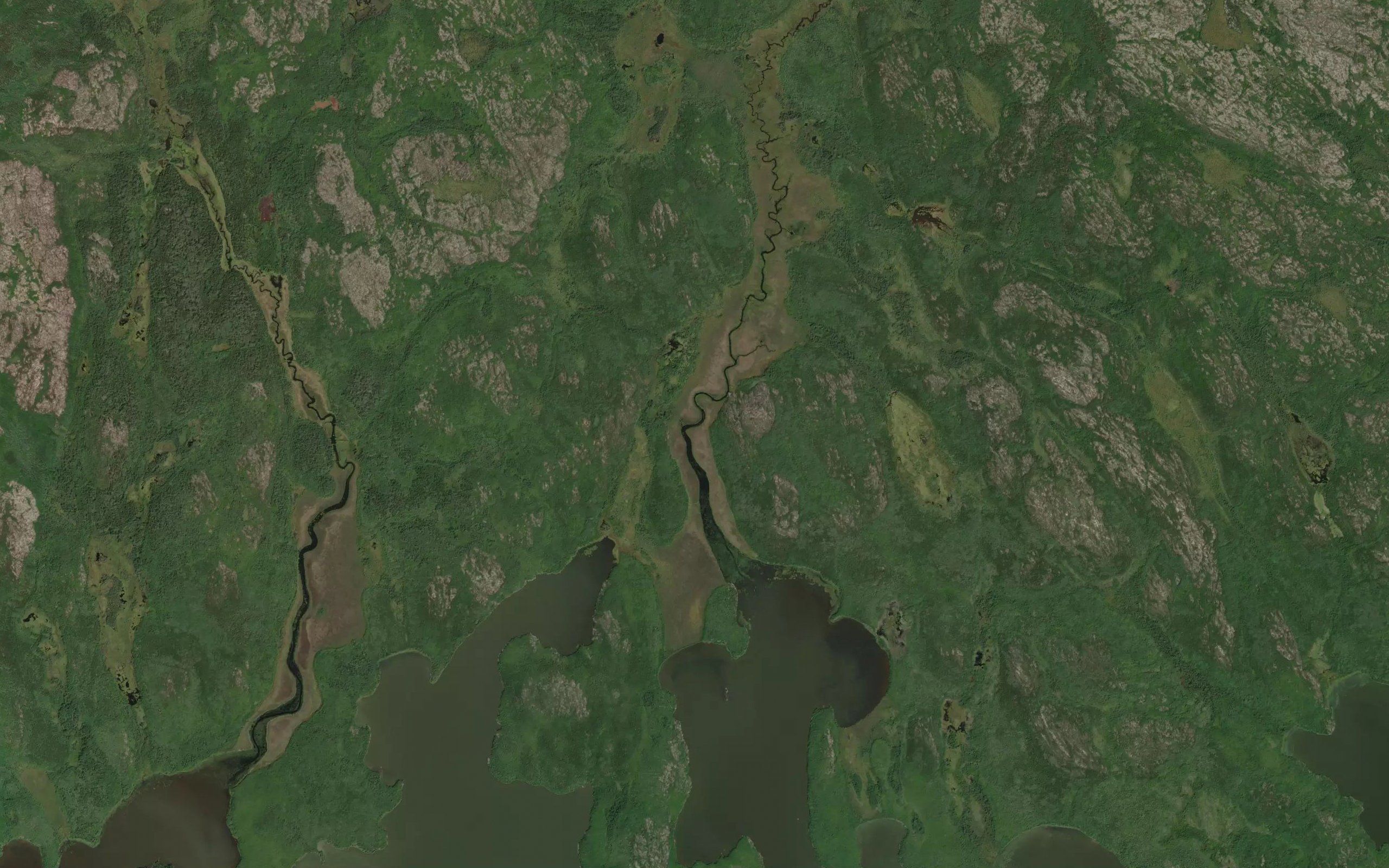 Muskwa Creek