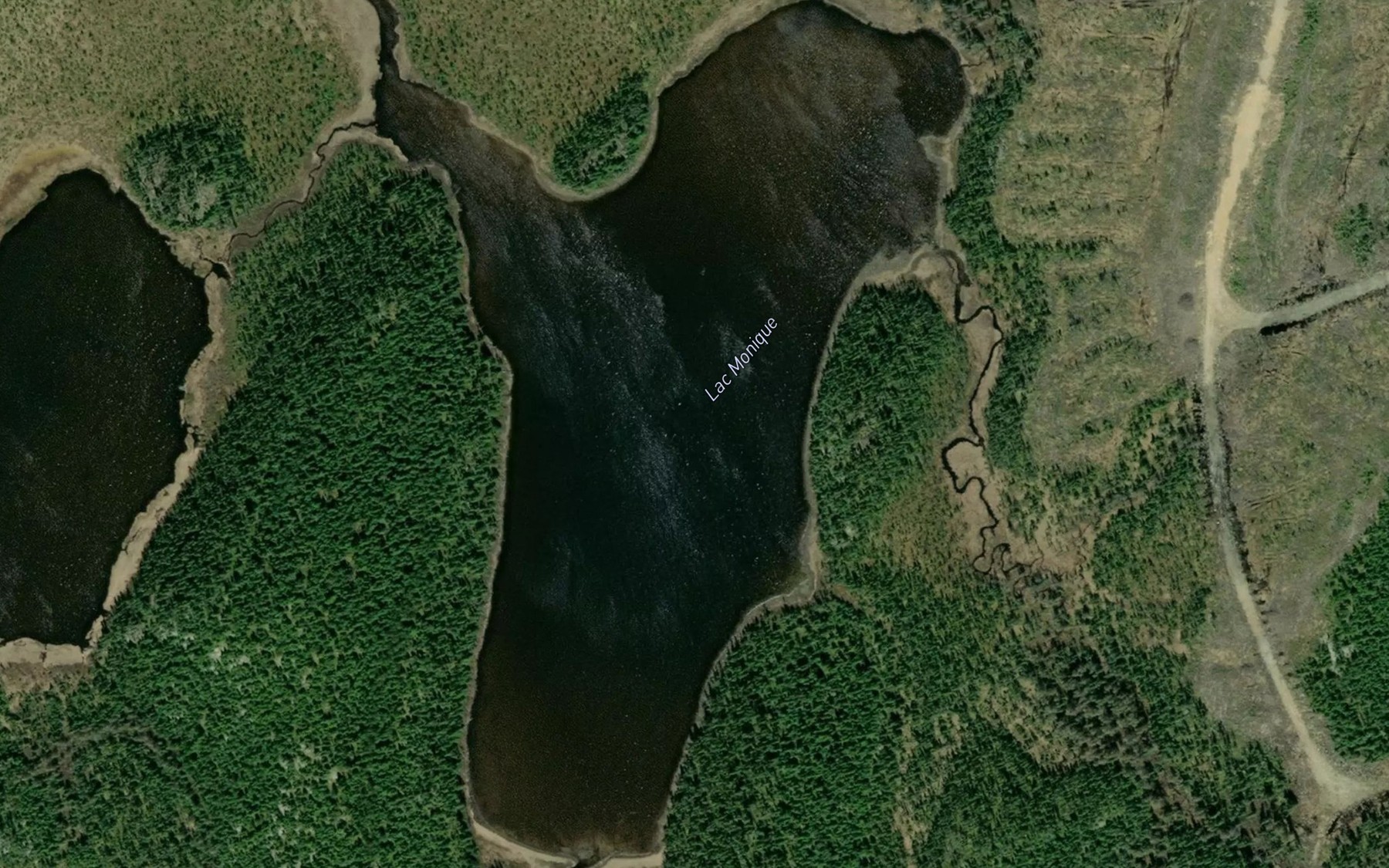 Satellite map of the Lac Monique