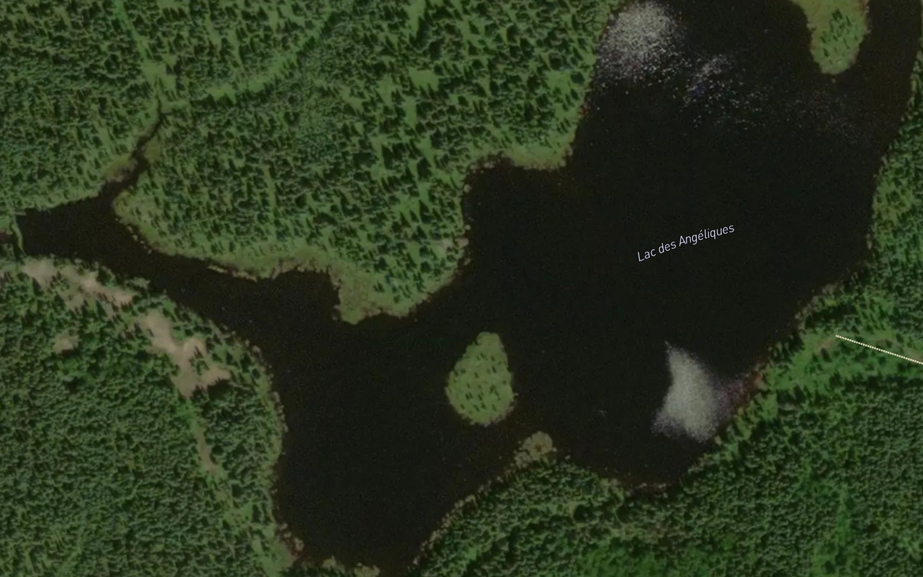 Satellite map of the Lac des Angeliques