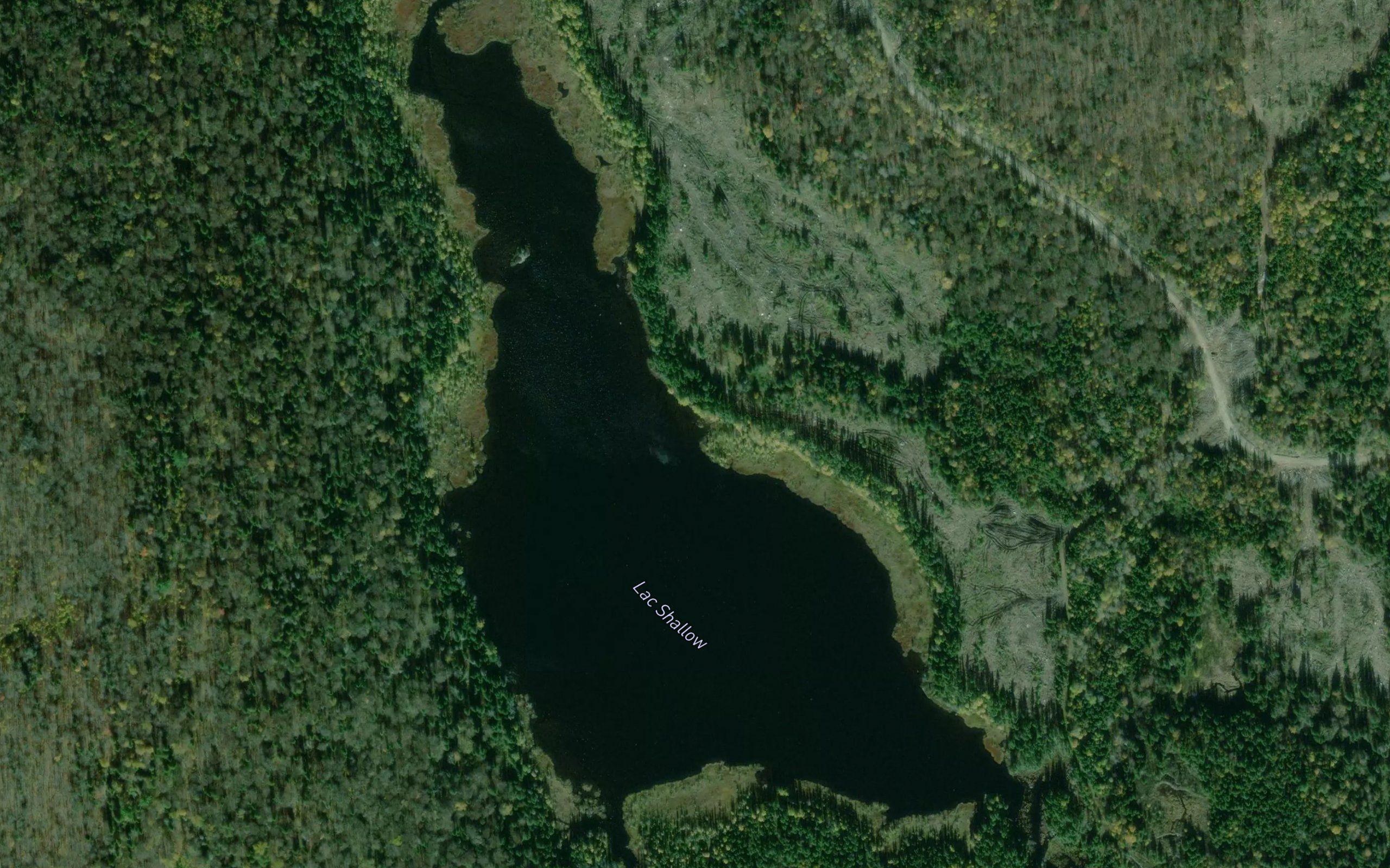 Lac Shallow