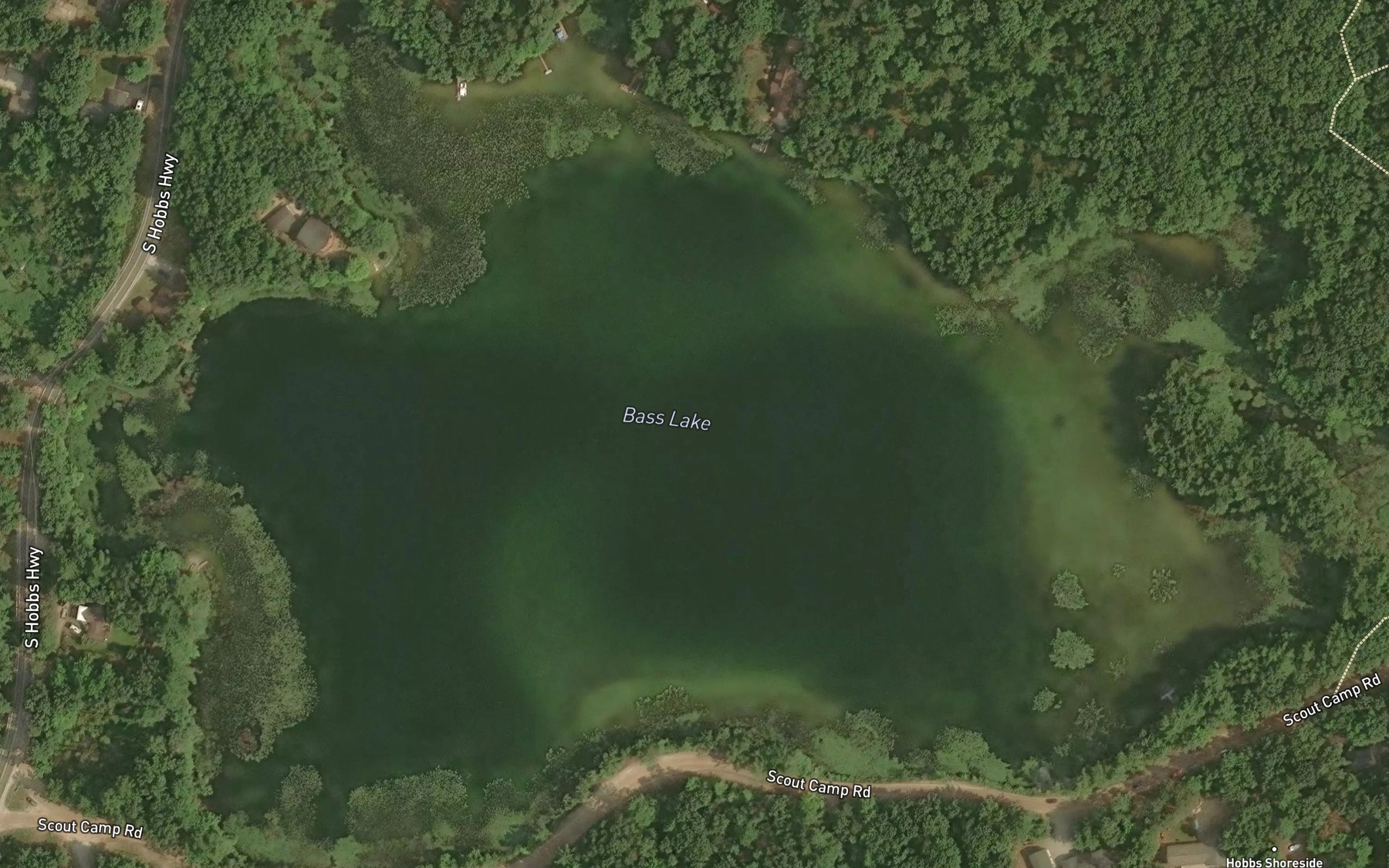 Satellite map of the Bass Lake