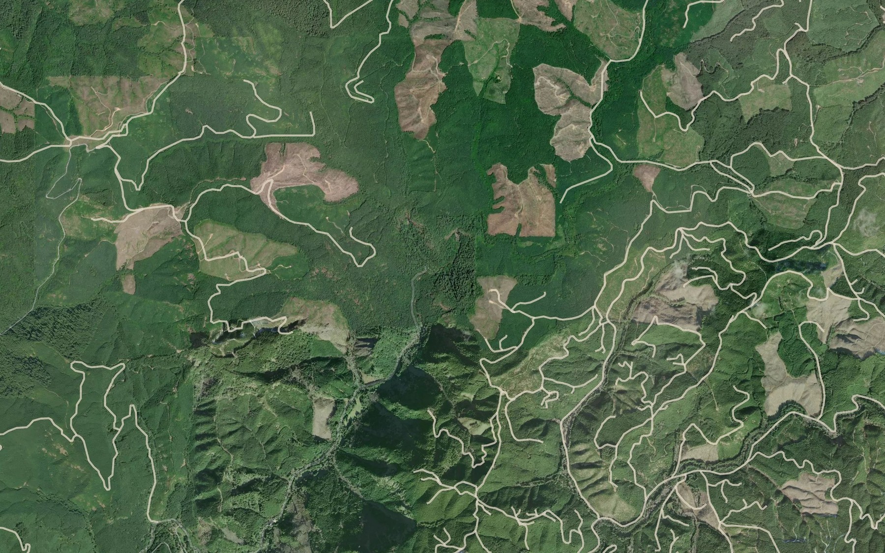 Satellite map of the Silver Creek