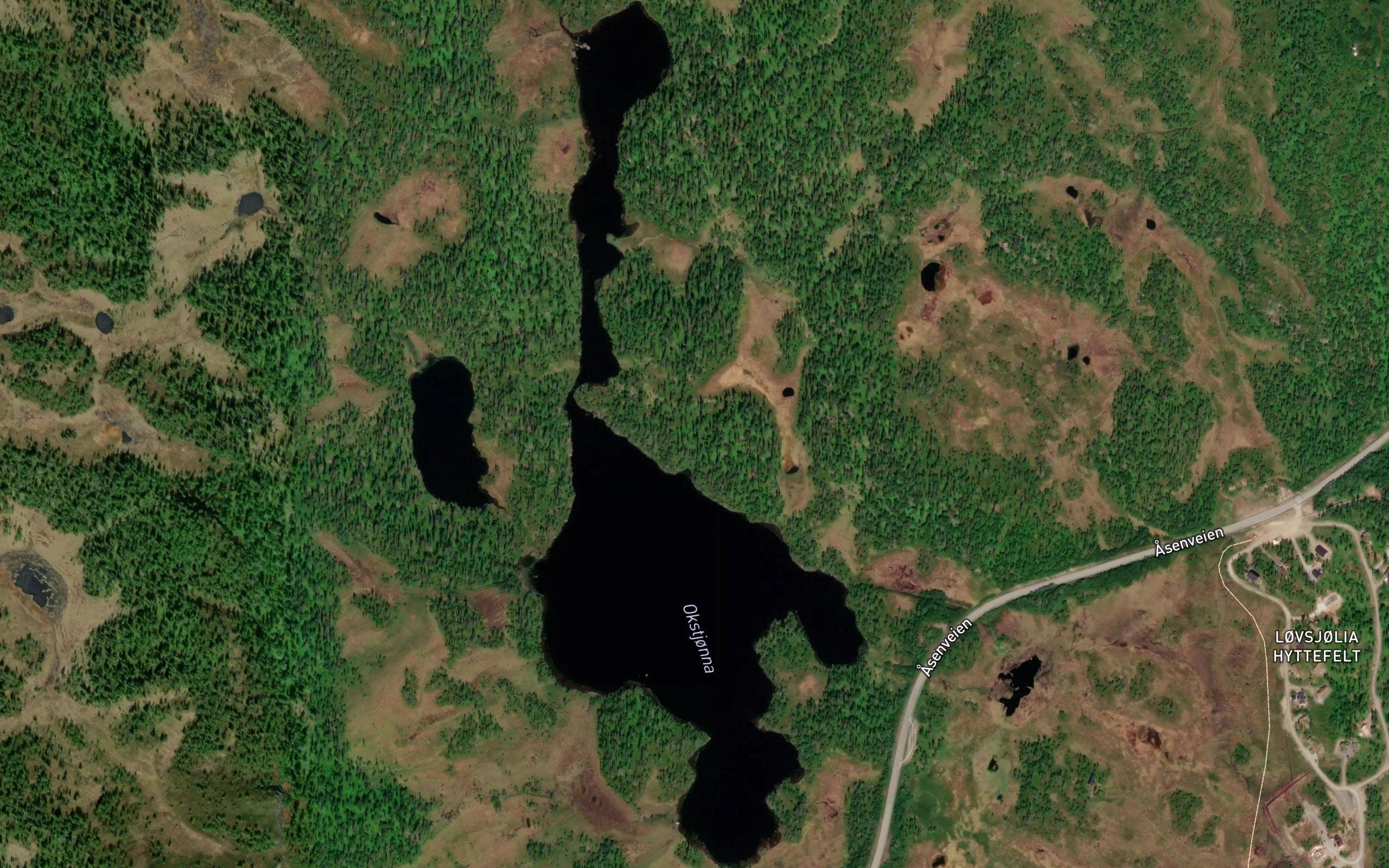 Okstjorna