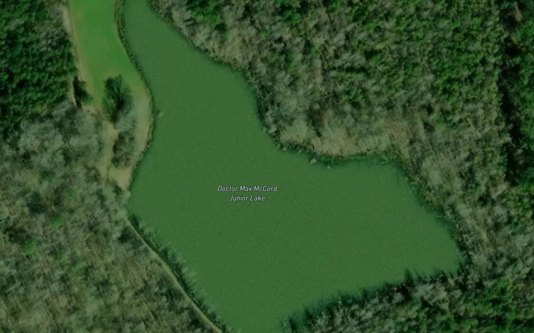 Satellite map of the Doctor Max McCord Junior Lake