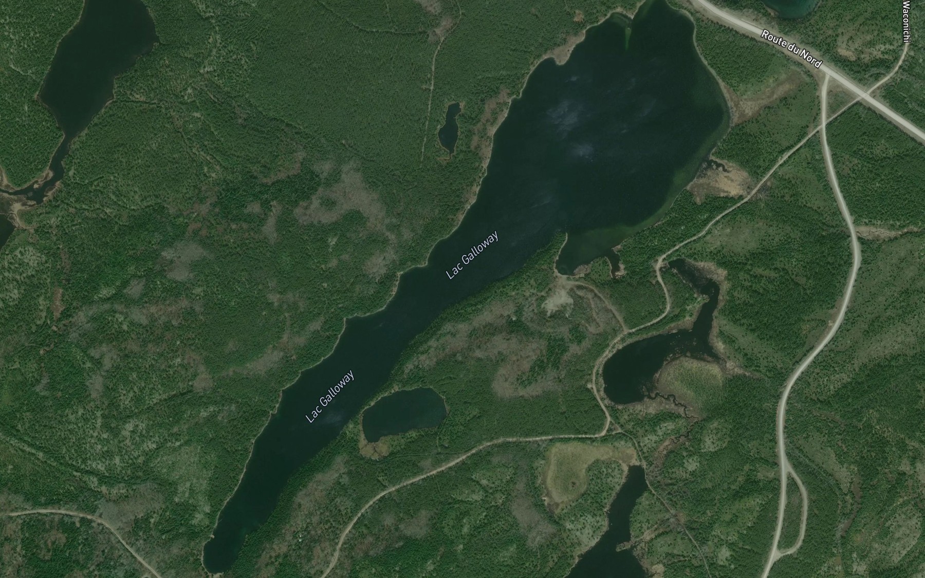 Satellite map of the Lac Galloway