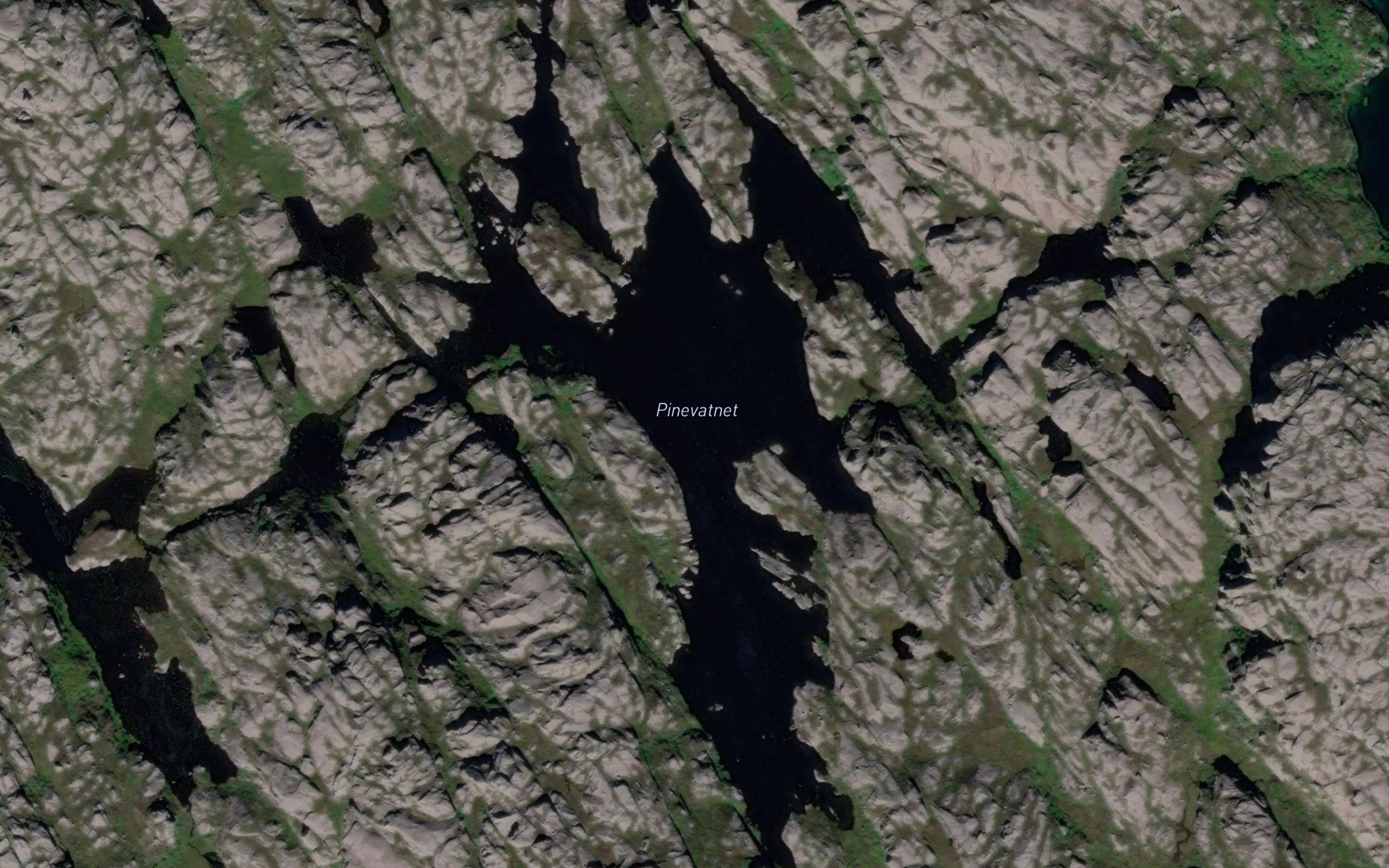Pinevatnet