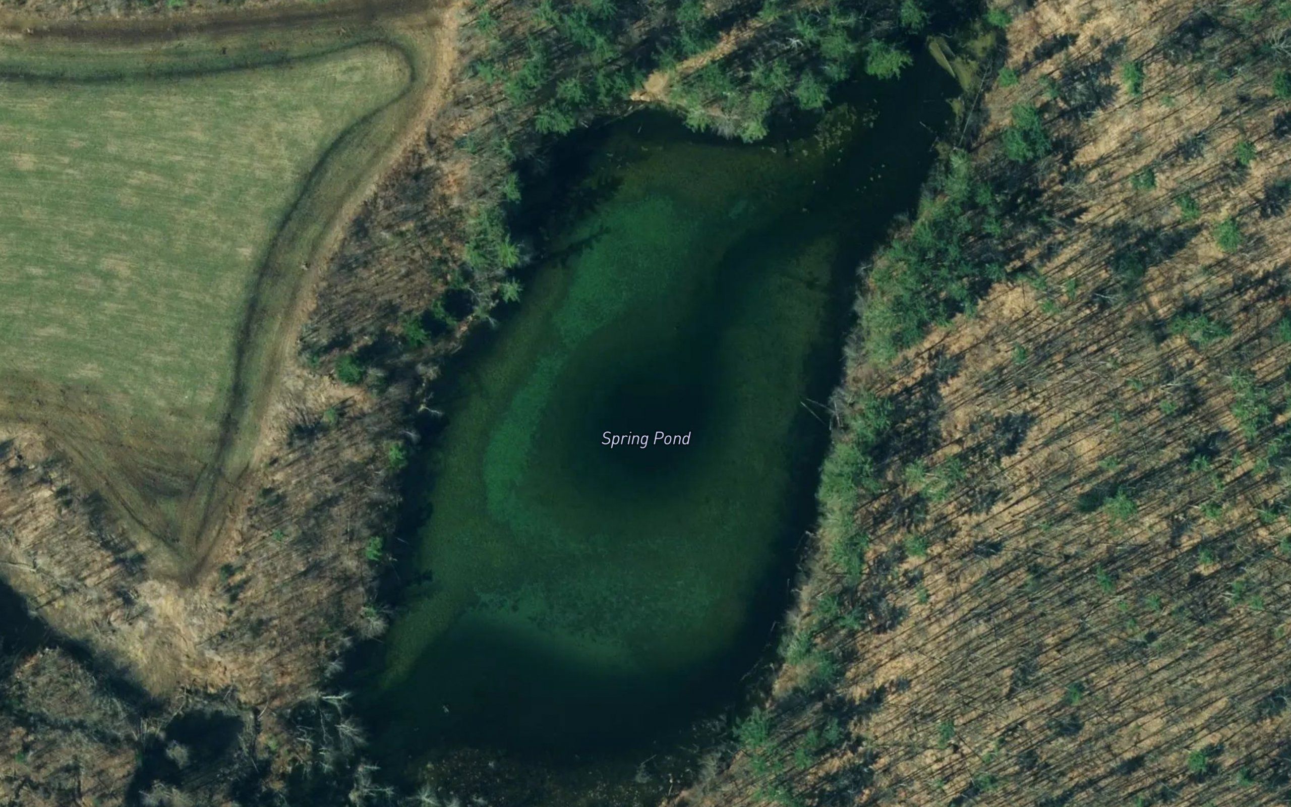 Spring Pond