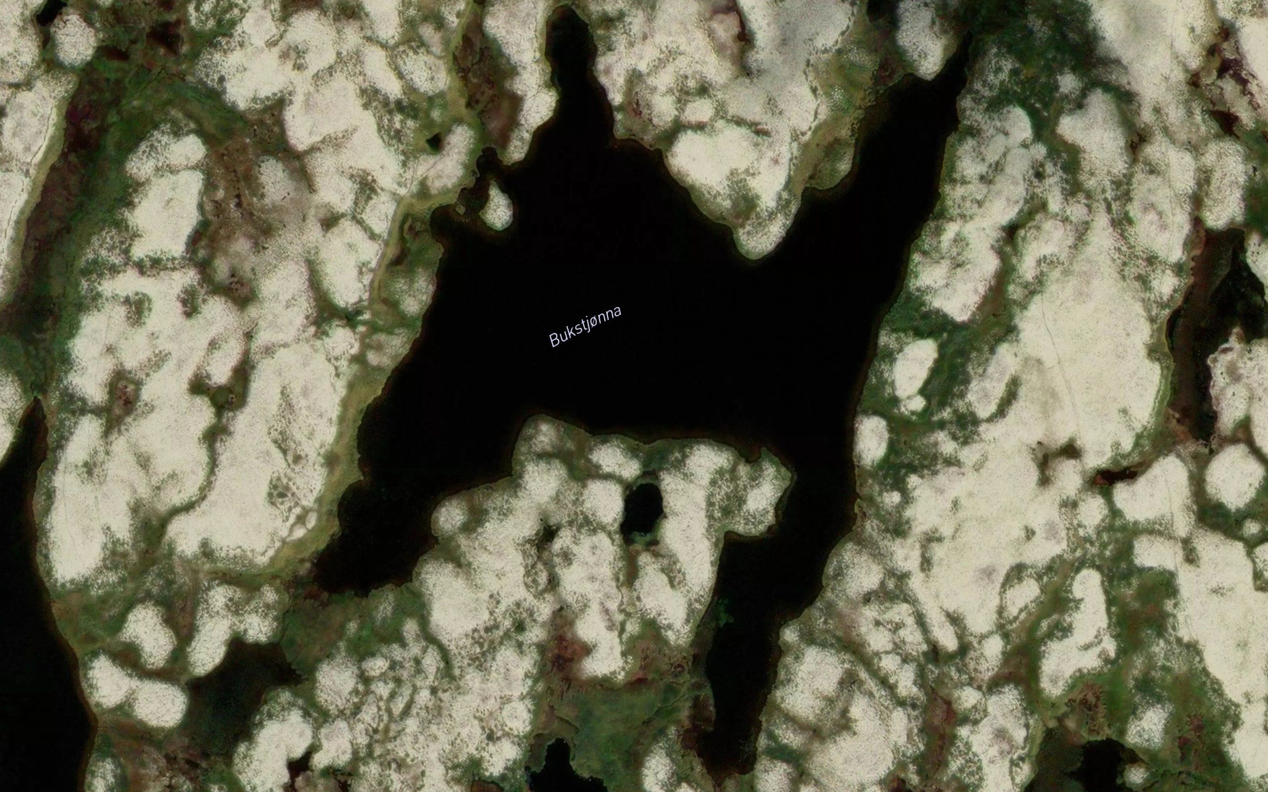 Bukstjorna