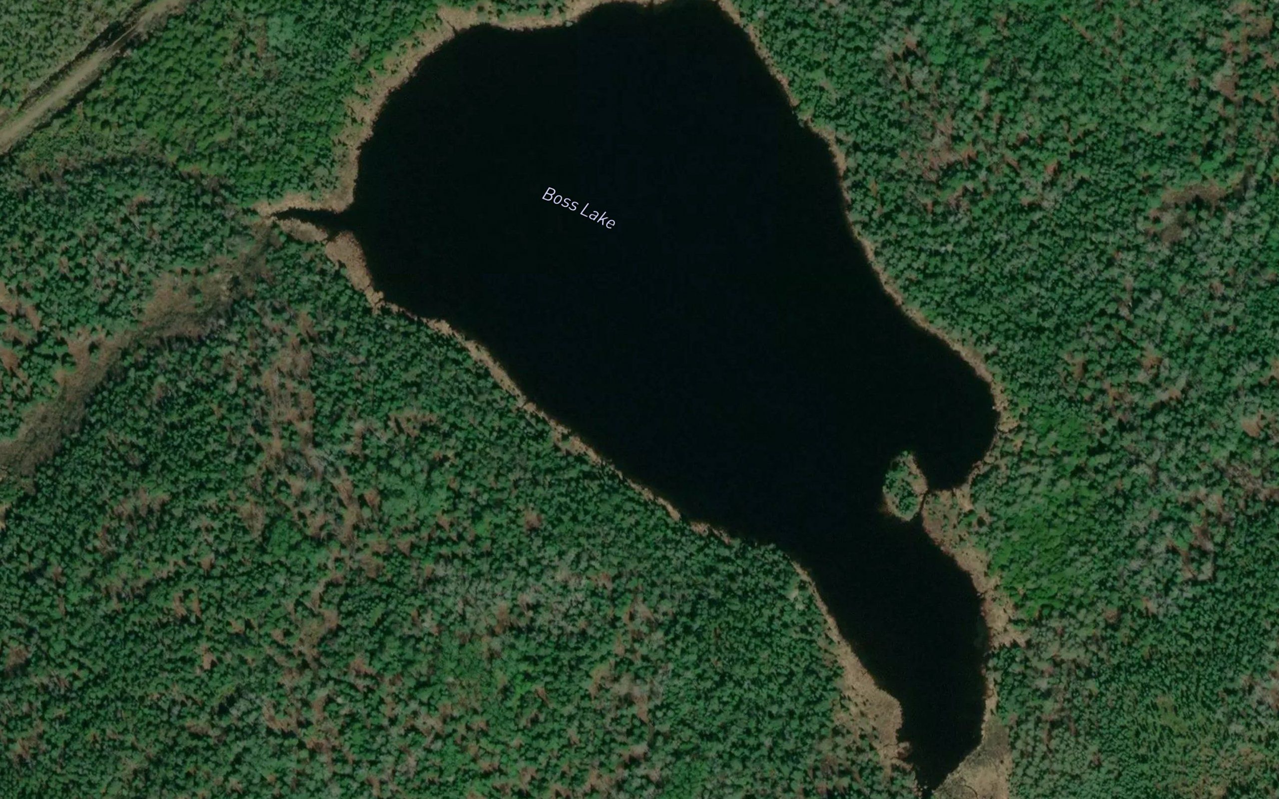 Boss Lake
