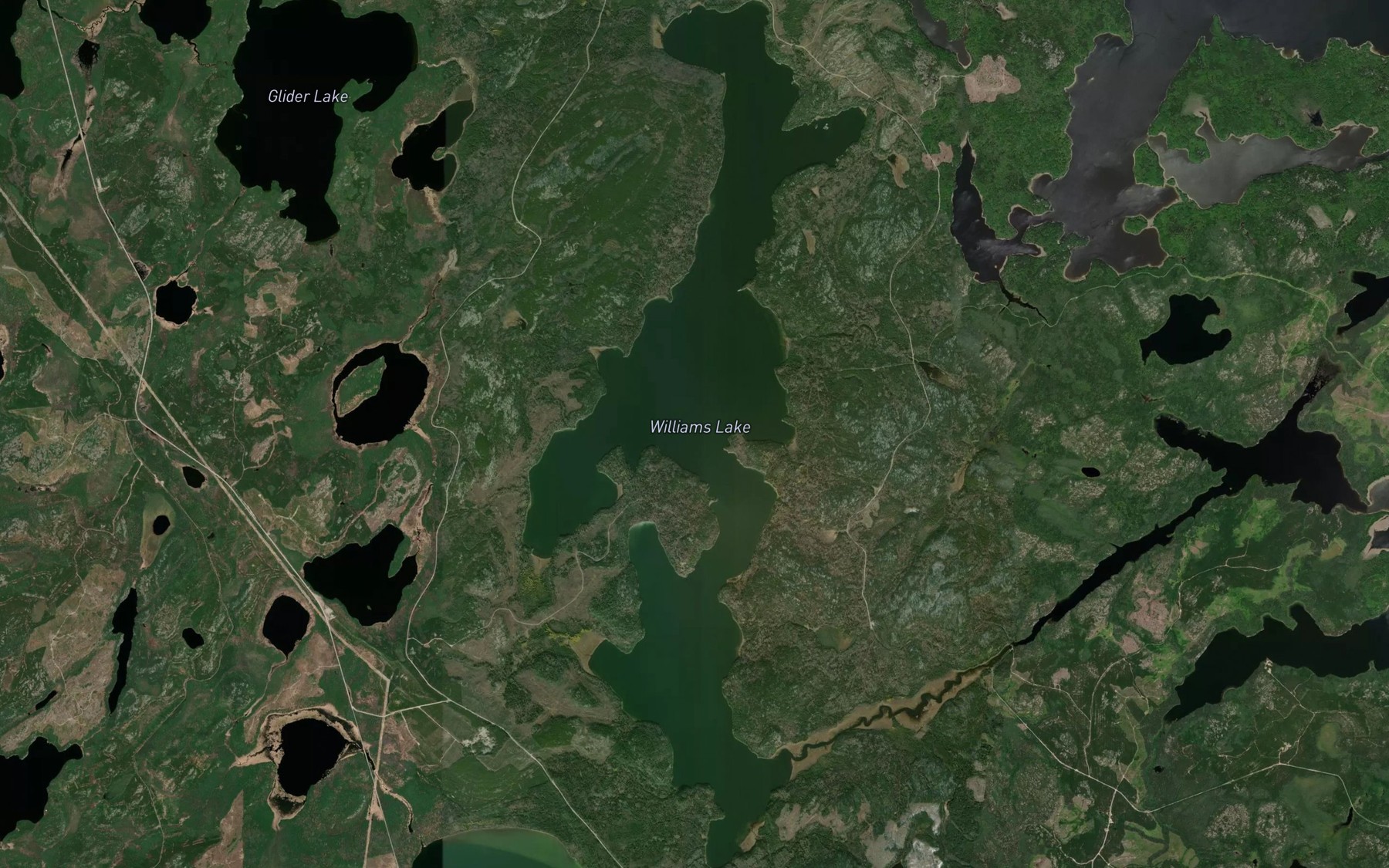 Satellite map of the Williams Lake