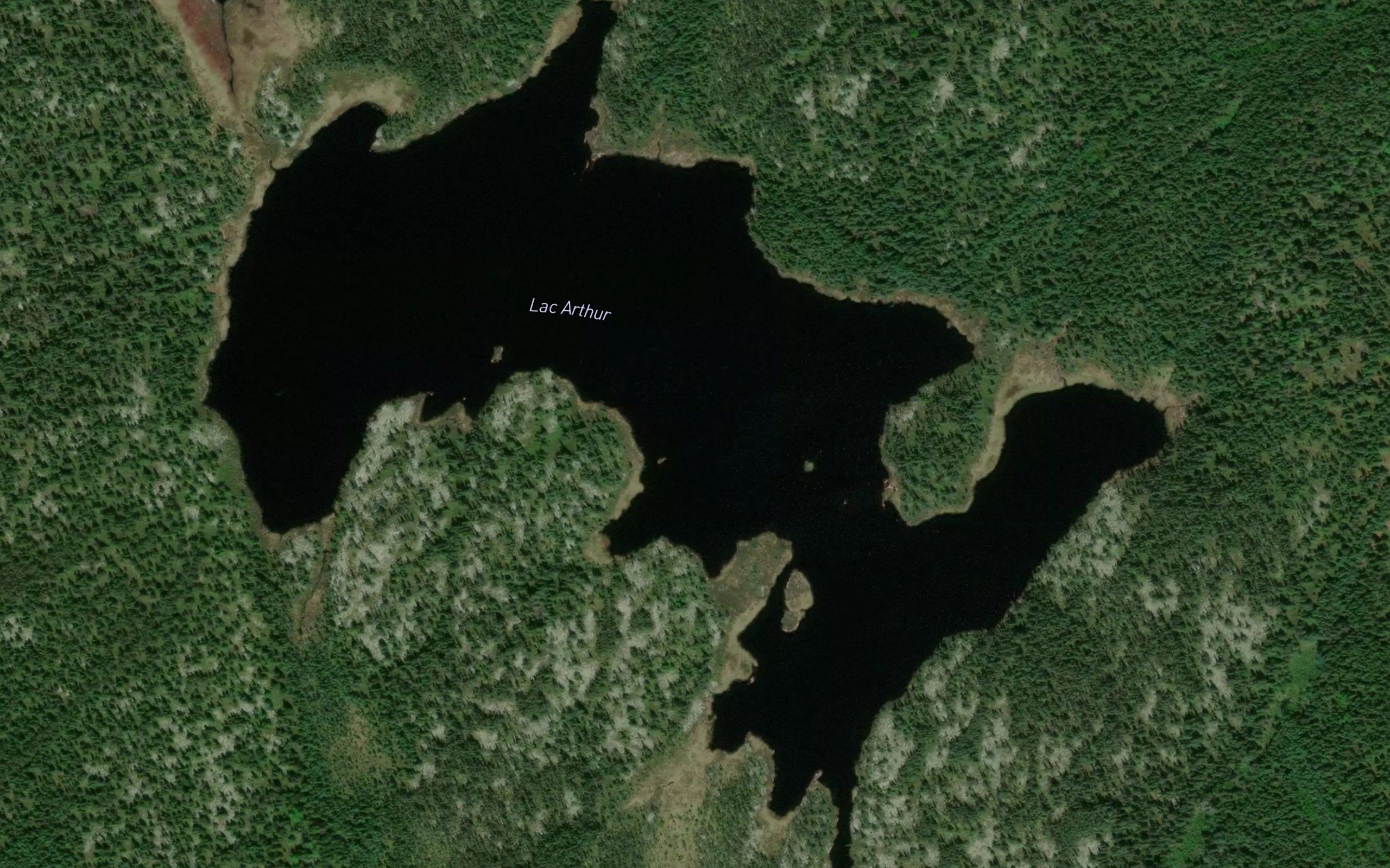 Lac Arthur