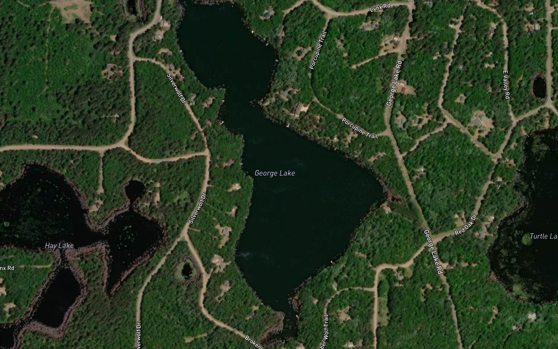 Satellite map of the George Lake