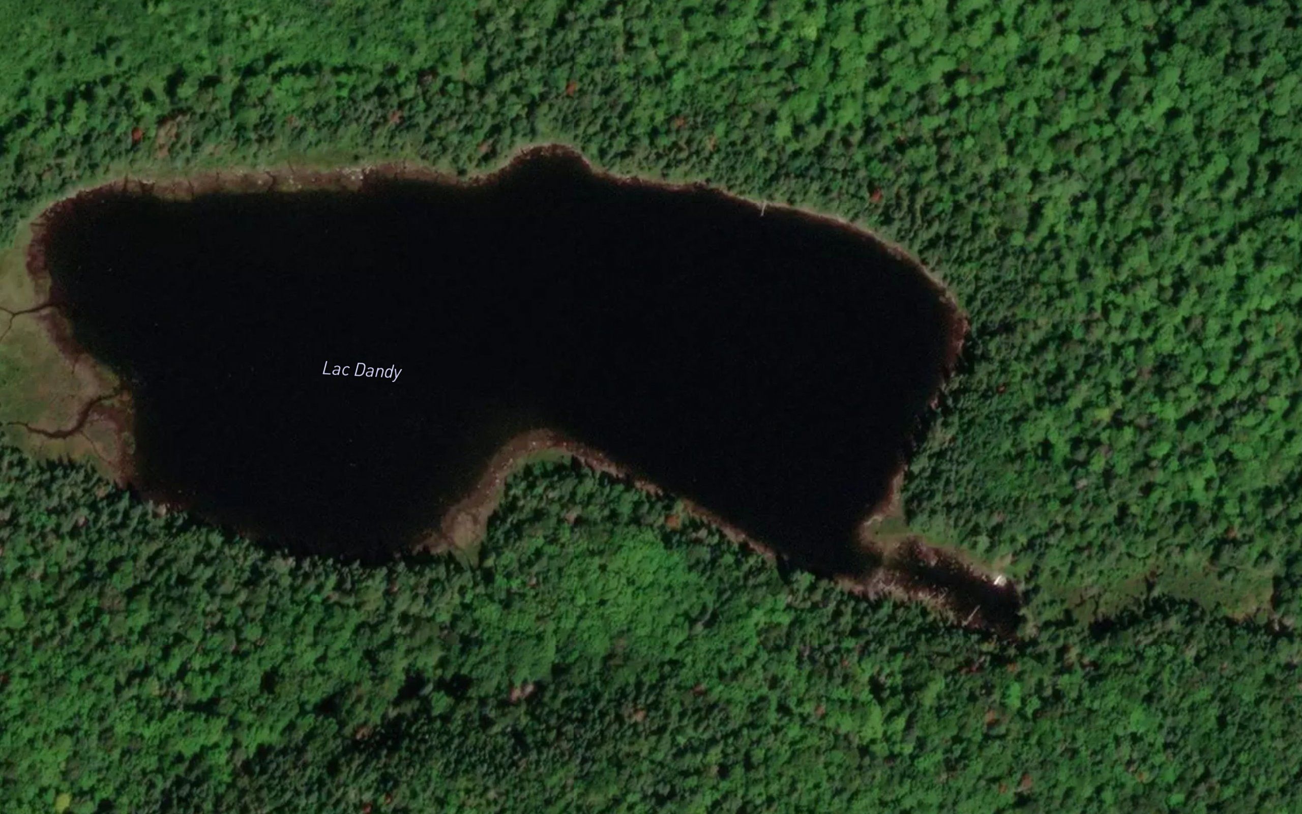 Lac Dandy