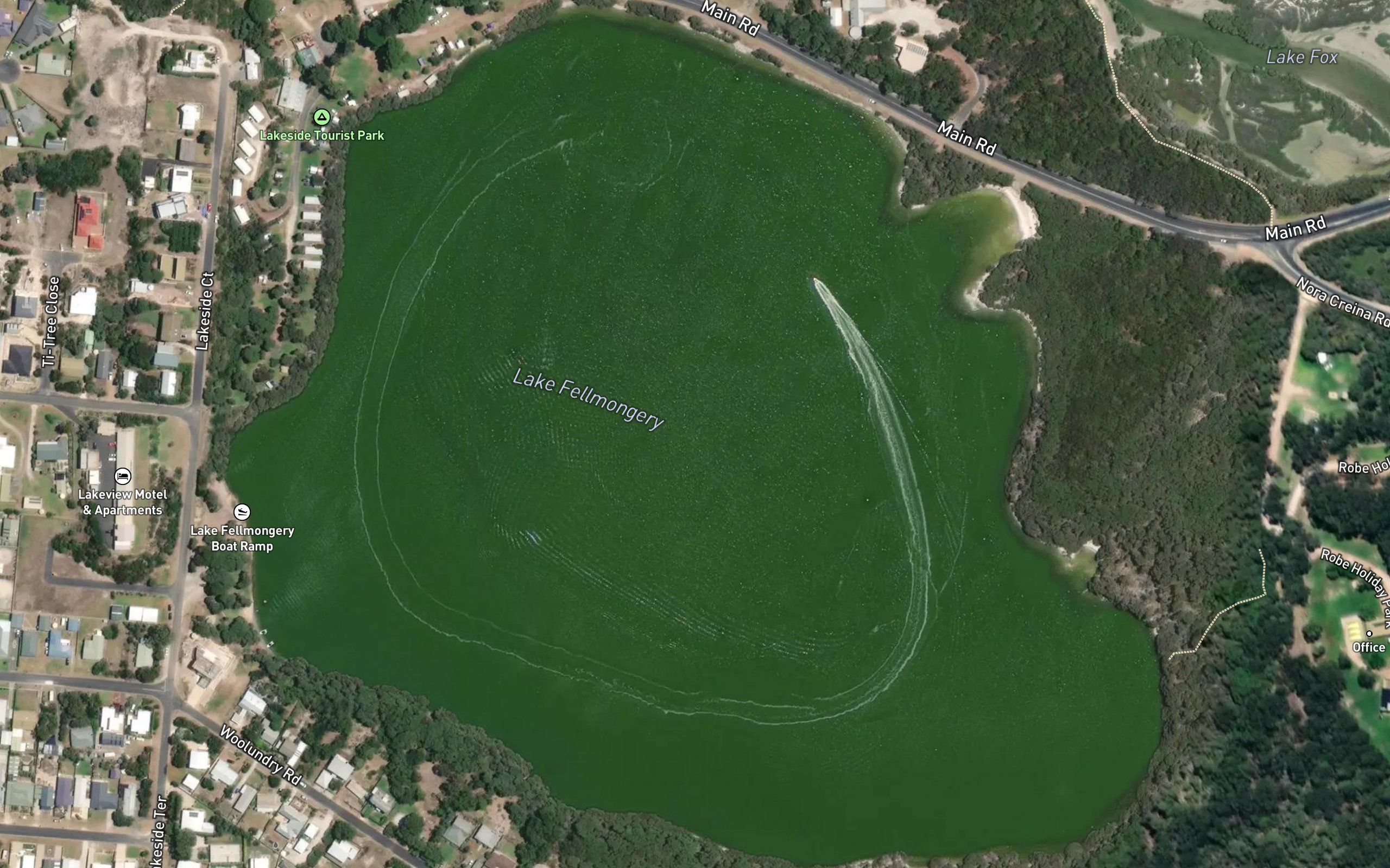 Lake Fellmongery