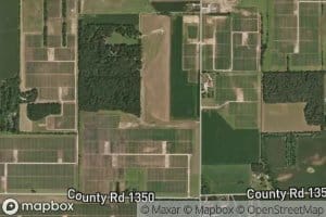 Rassmussen Ditch