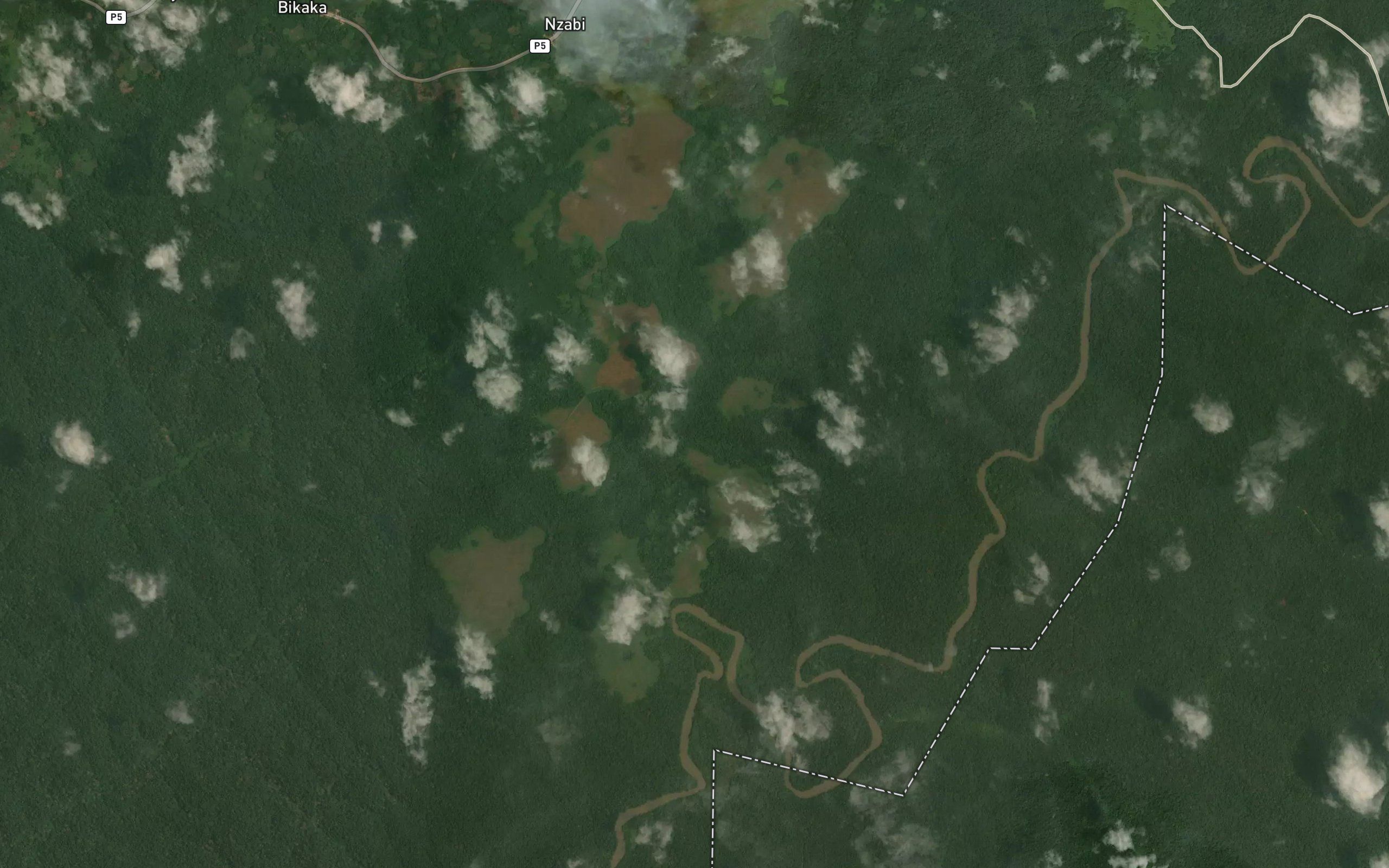 Bamboma