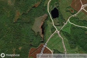 Grassy Pond